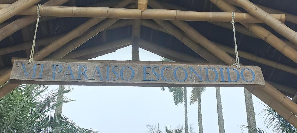 My Paradise Tamesis