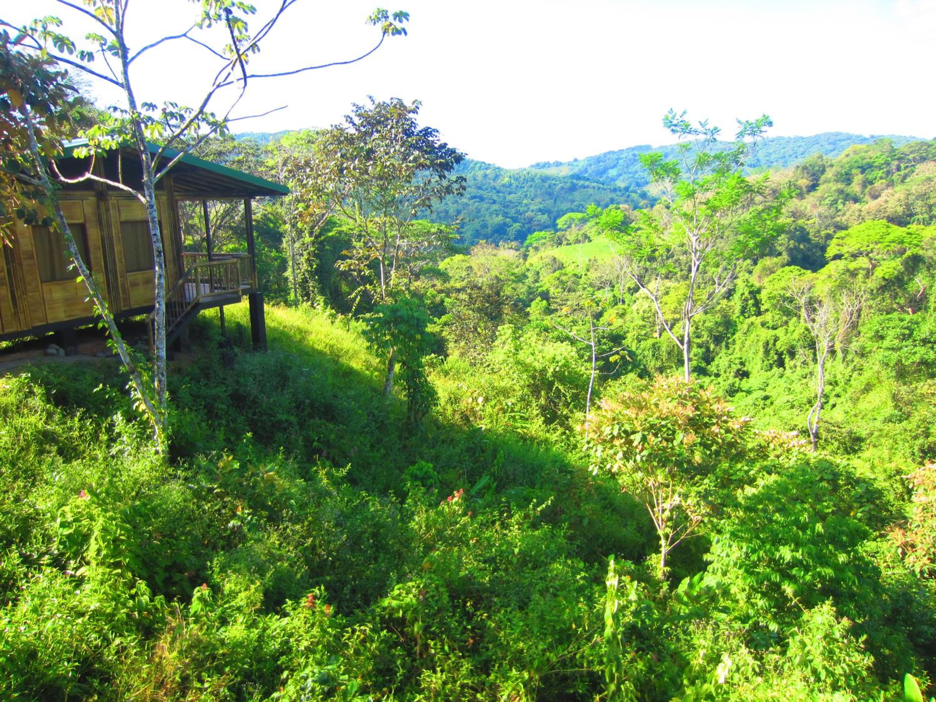 Bamboo Jungle Cabin 3 nights minimum stay