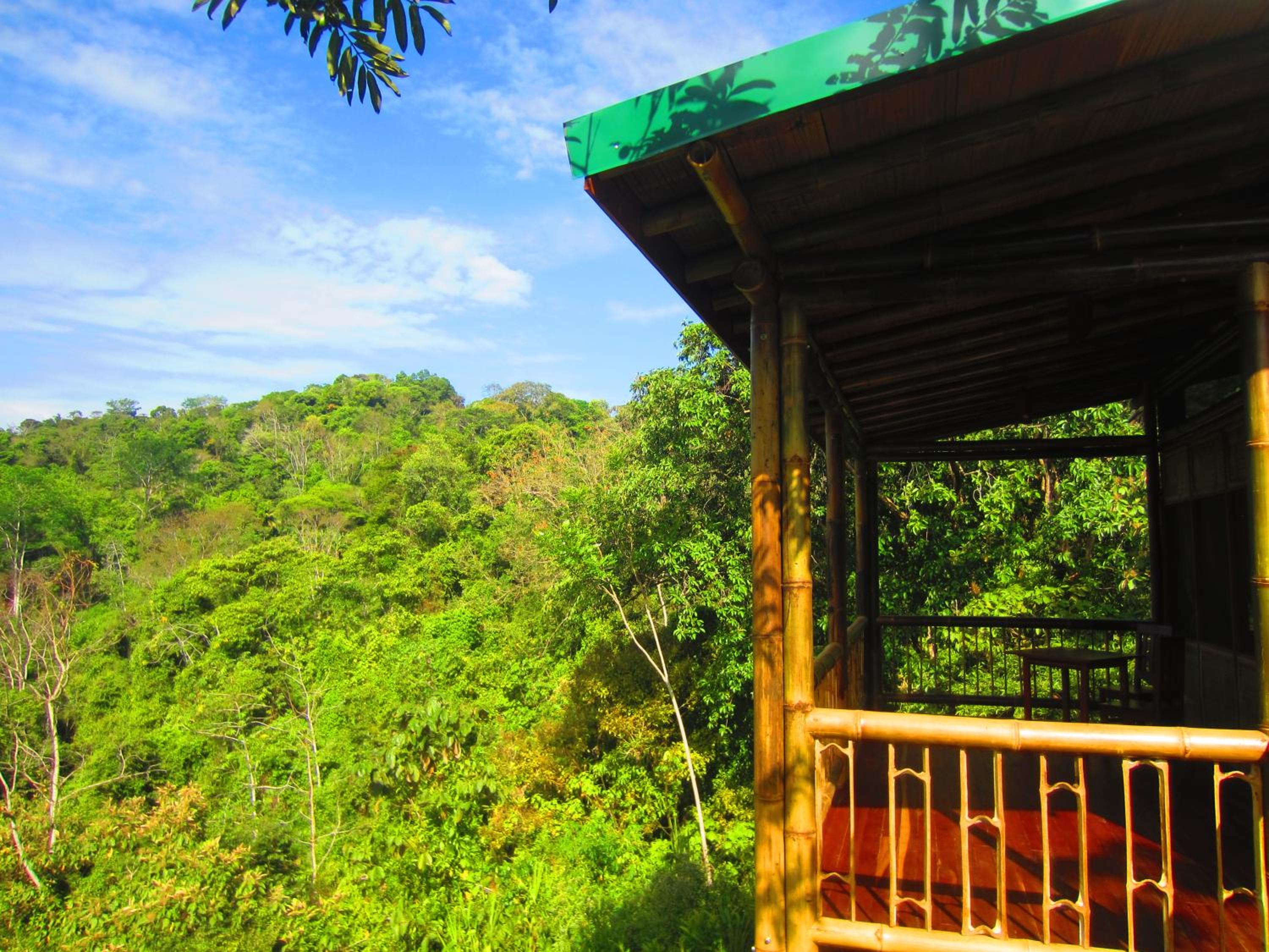 Bamboo Jungle Cabin 3 nights minimum stay