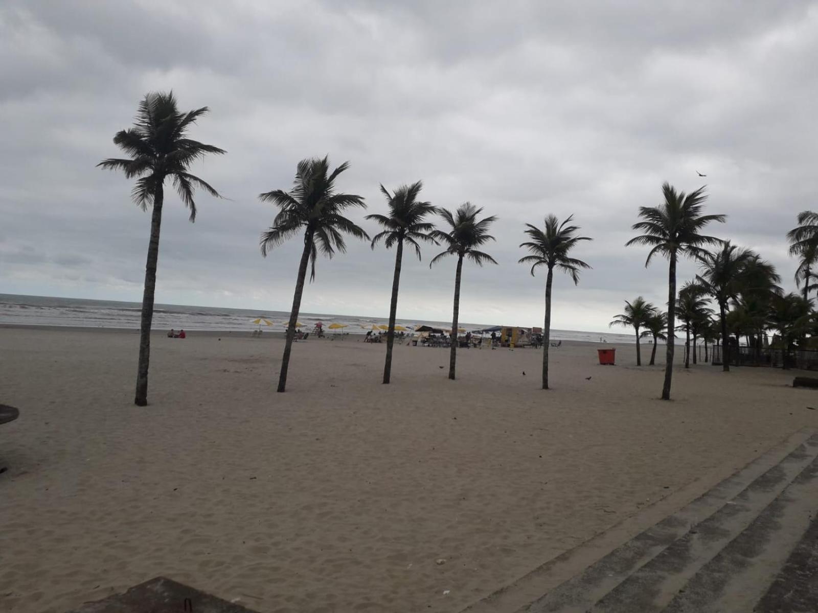 Apto Beira Mar Praia Mirin