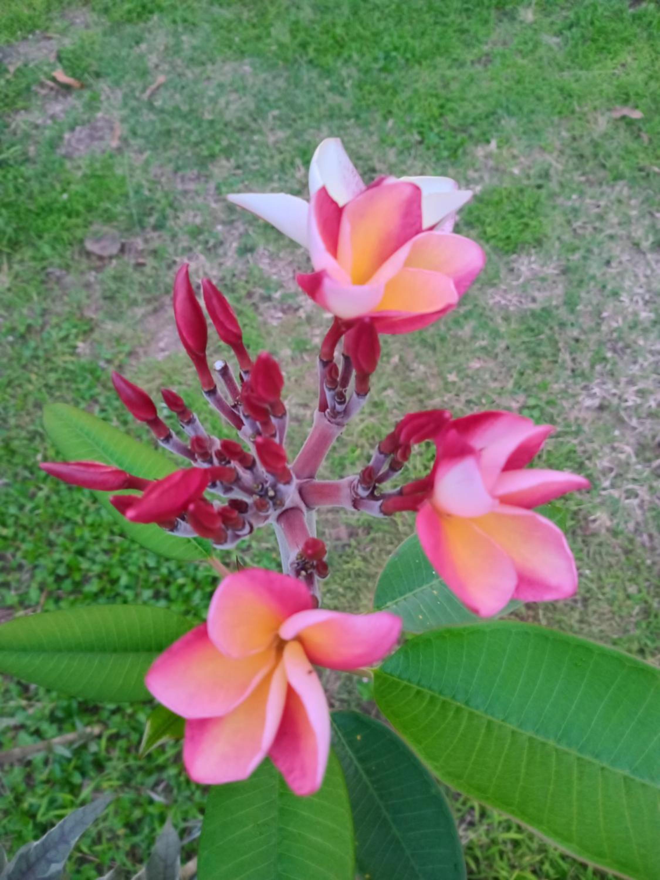 Photo 26