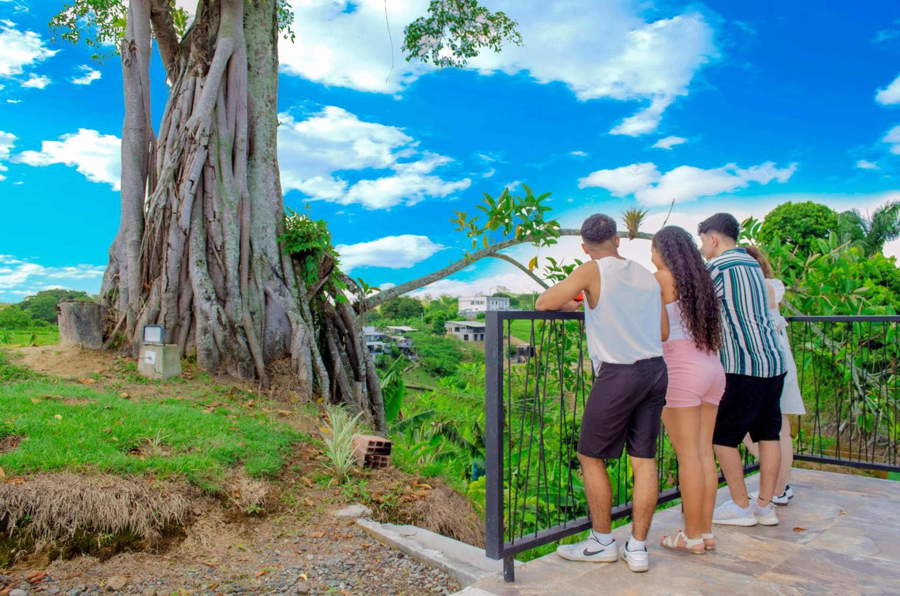 Buenavista Finca Hotel Quimbaya Quindio Colombia