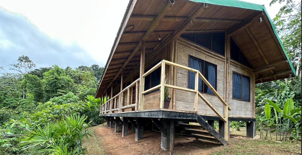 Bamboo Jungle Room 3 nights minimum stay
