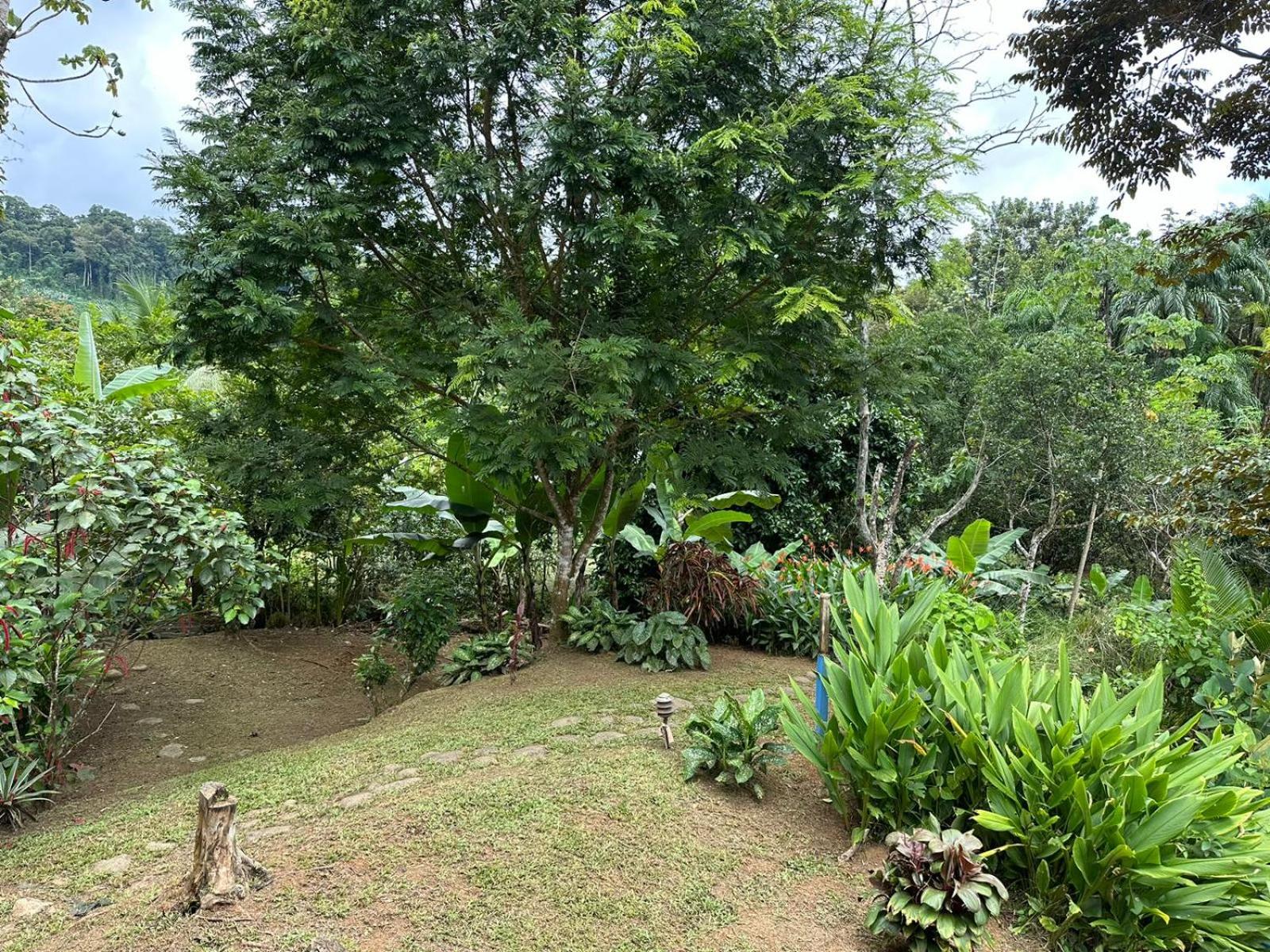 Bamboo Jungle Room 3 nights minimum stay