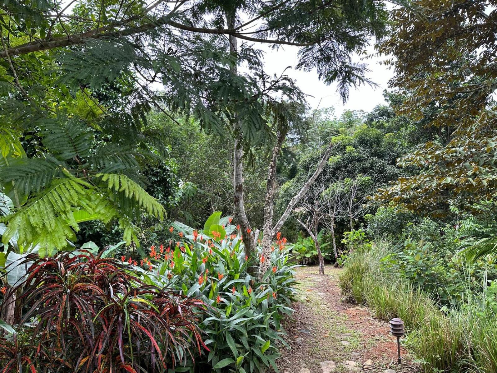 Bamboo Jungle Room 3 nights minimum stay