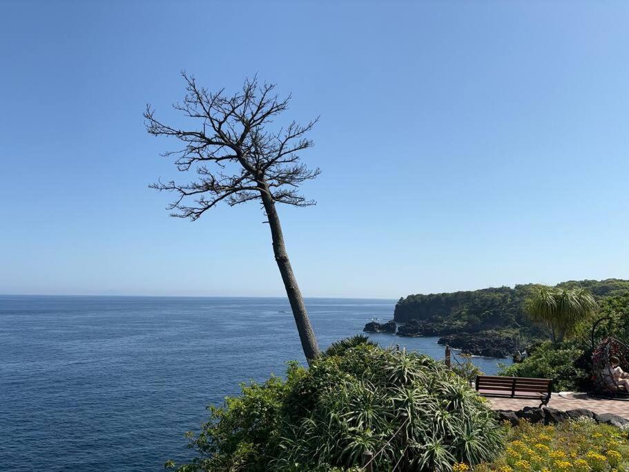 New Villa Natural J 伊豆高原 城ヶ崎海岸