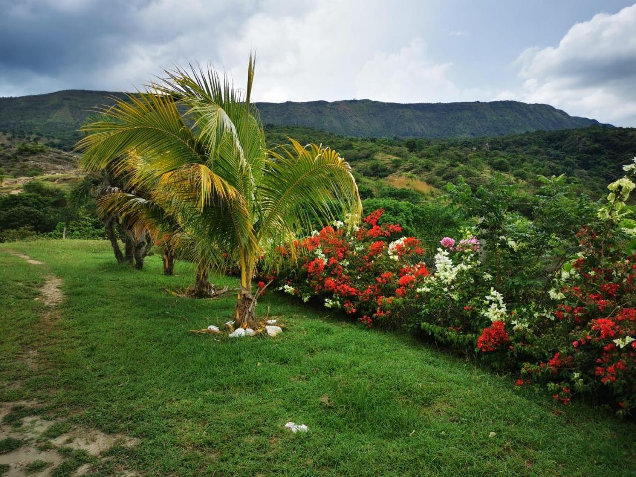 Finca La Silvia