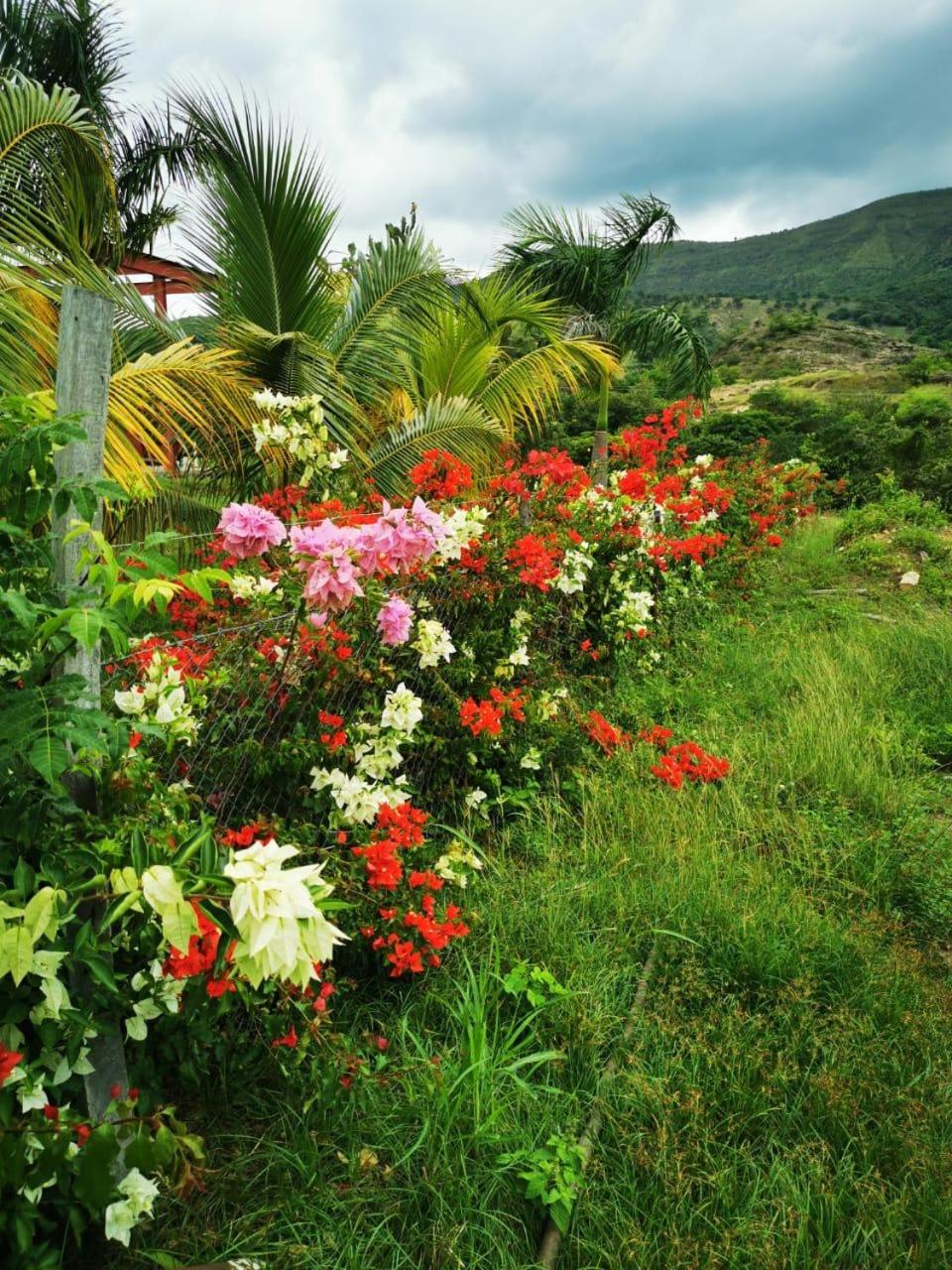 Finca La Silvia