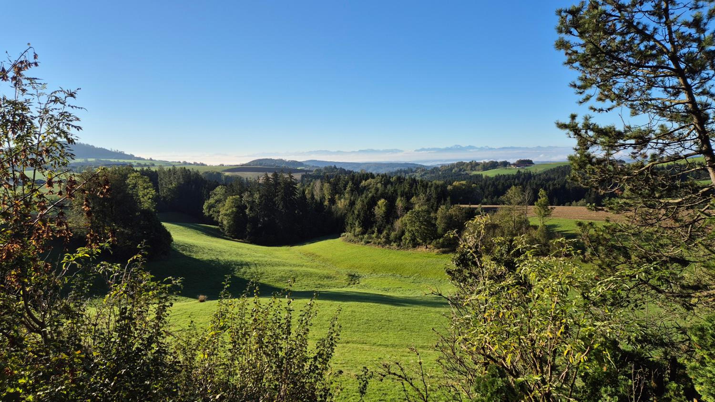 Cottage Alpenblick