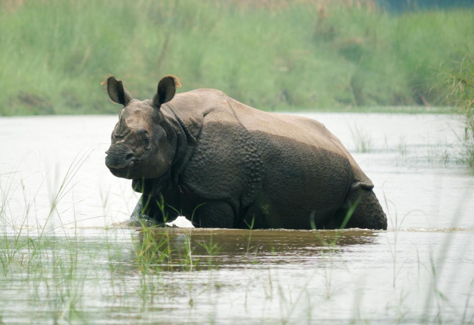 Family house - Bardia National Park view 2