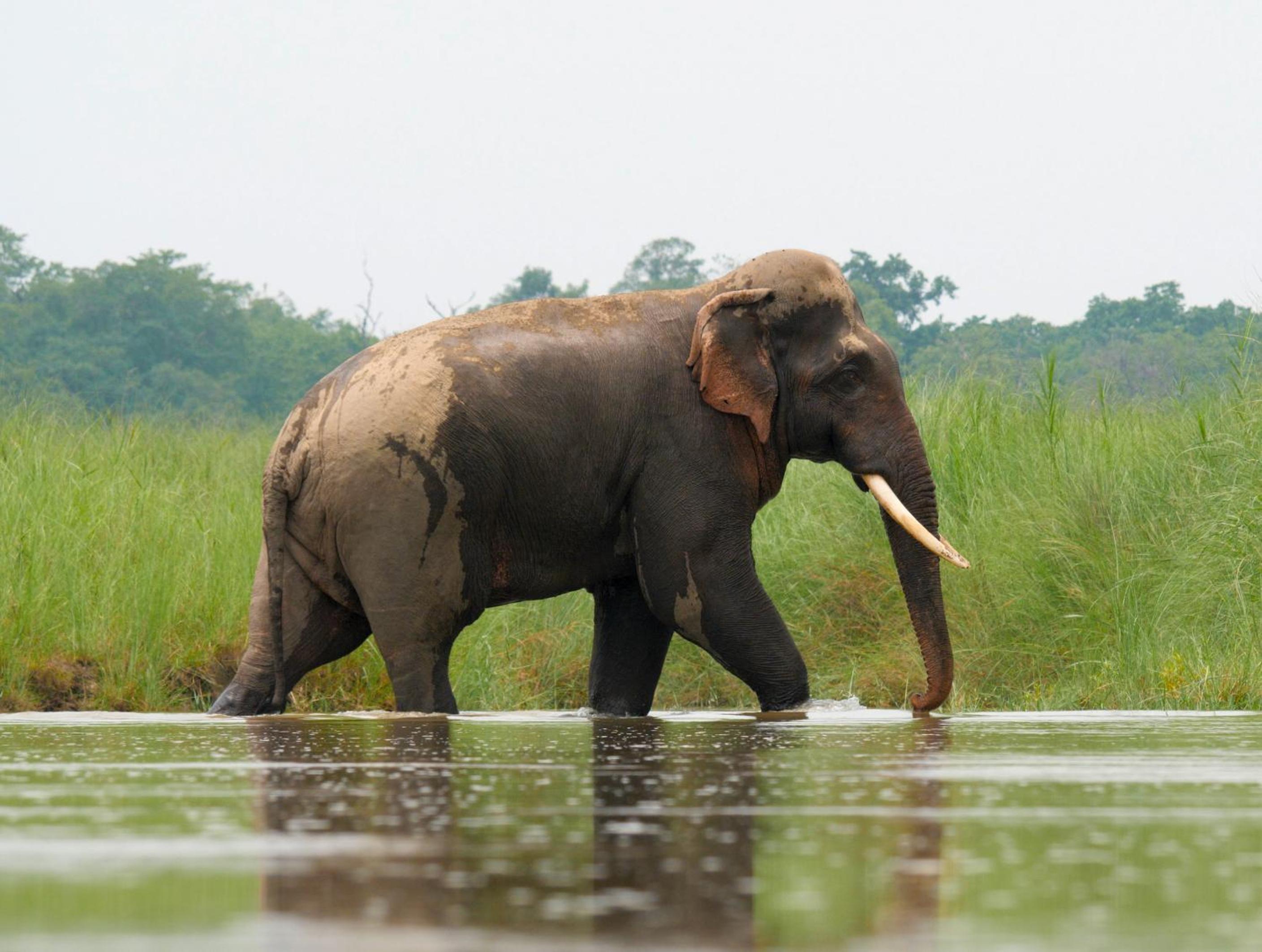 Family house - Bardia National Park view 3