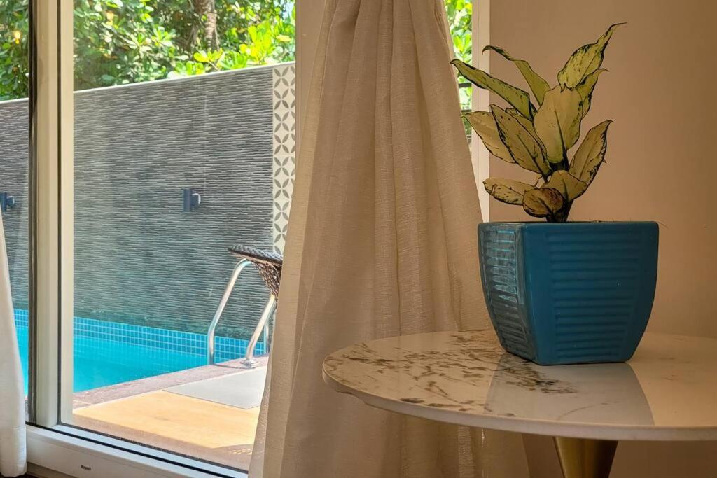 Modern villa with Private Pool,WiFi,parking in Varca