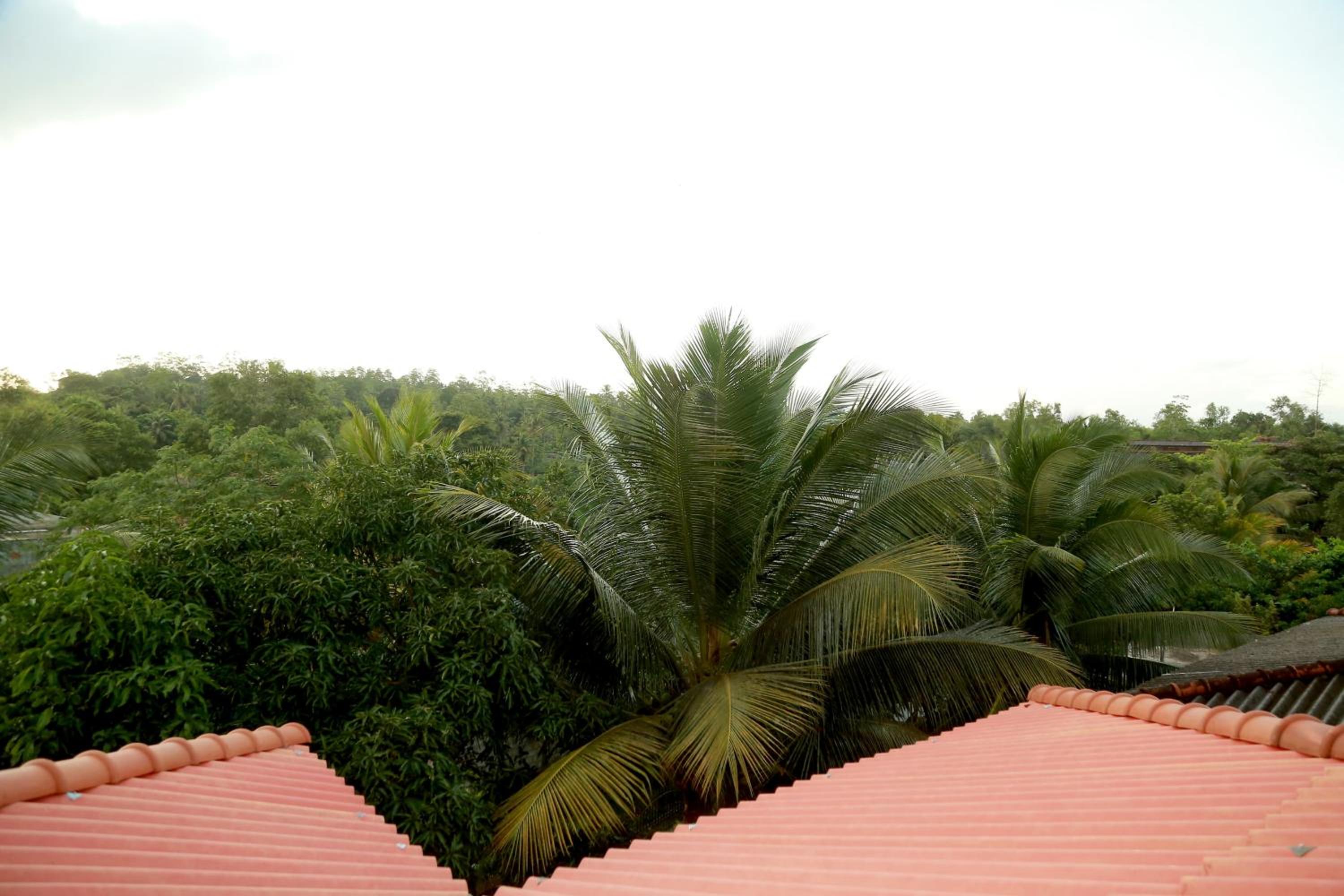 COCO VIEW Guest House view 3