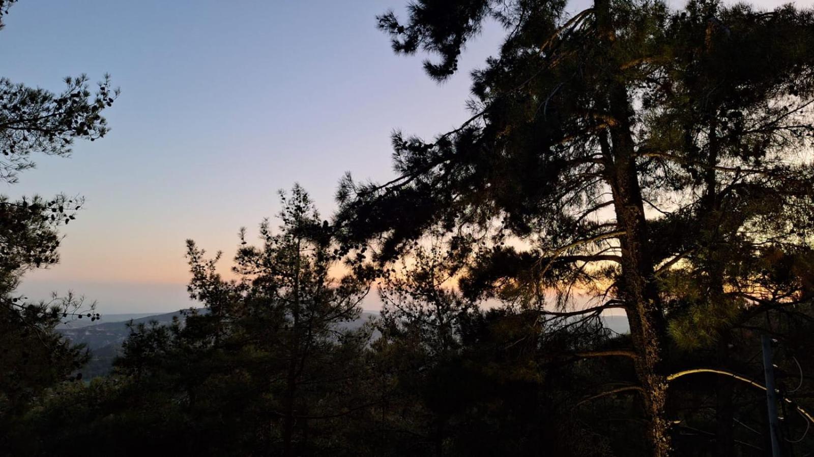 Paradise Peek, Platres