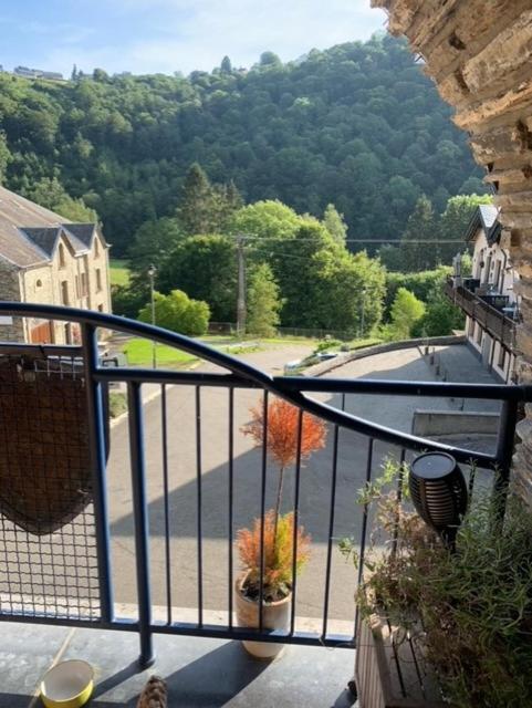 B&B Forêt d'Animaux