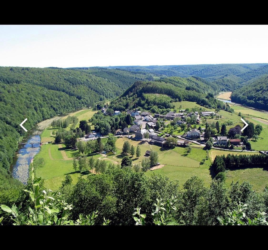 B&B Forêt d'Animaux