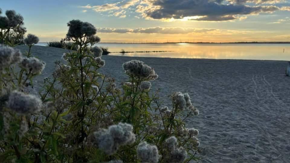 Dümmerliebe mit Garten, 10 Min. fussläufig zum See