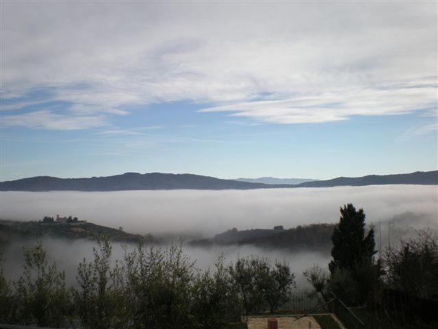 Photo 39