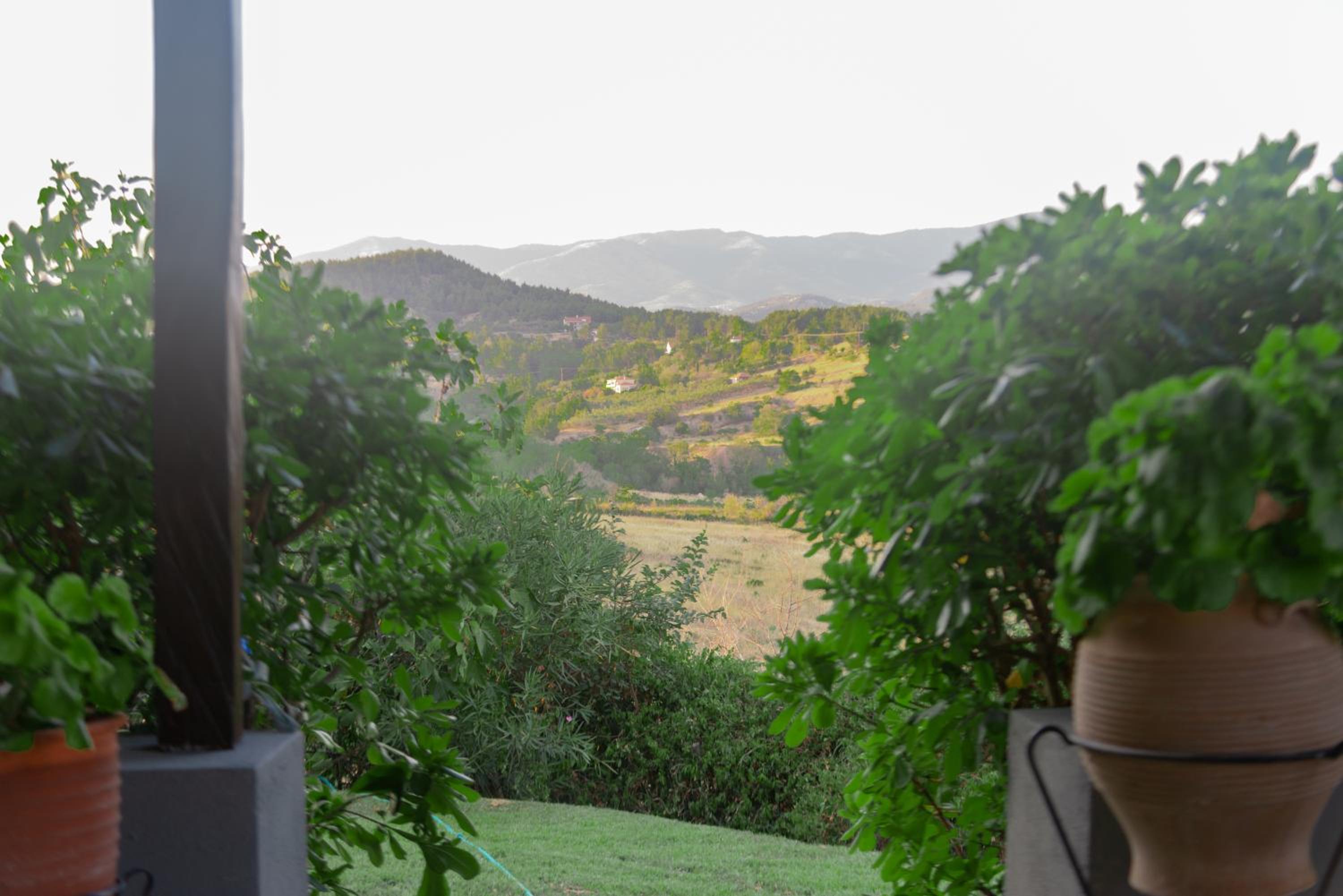 Villa Armonia