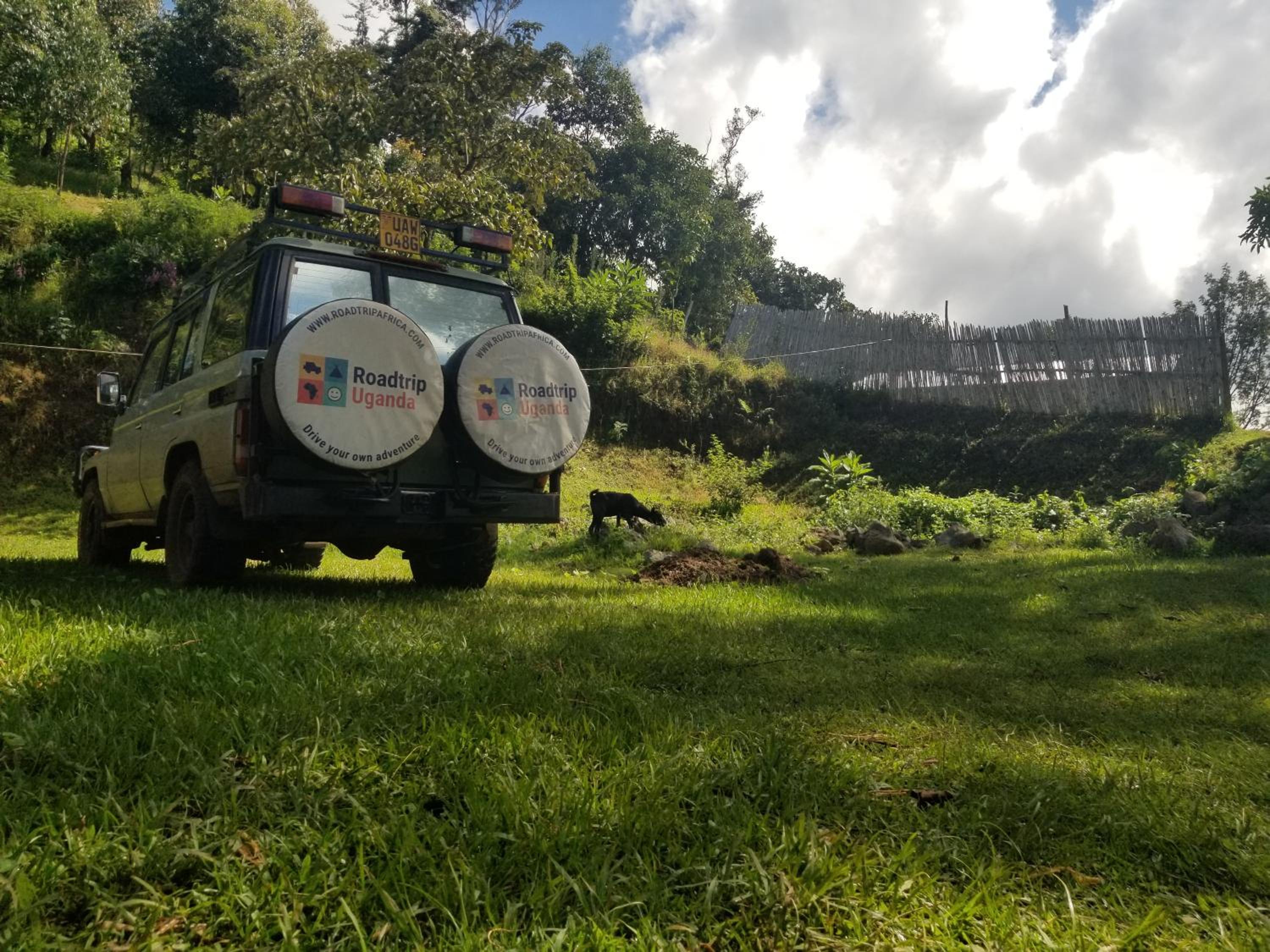 Sipi Backpackers