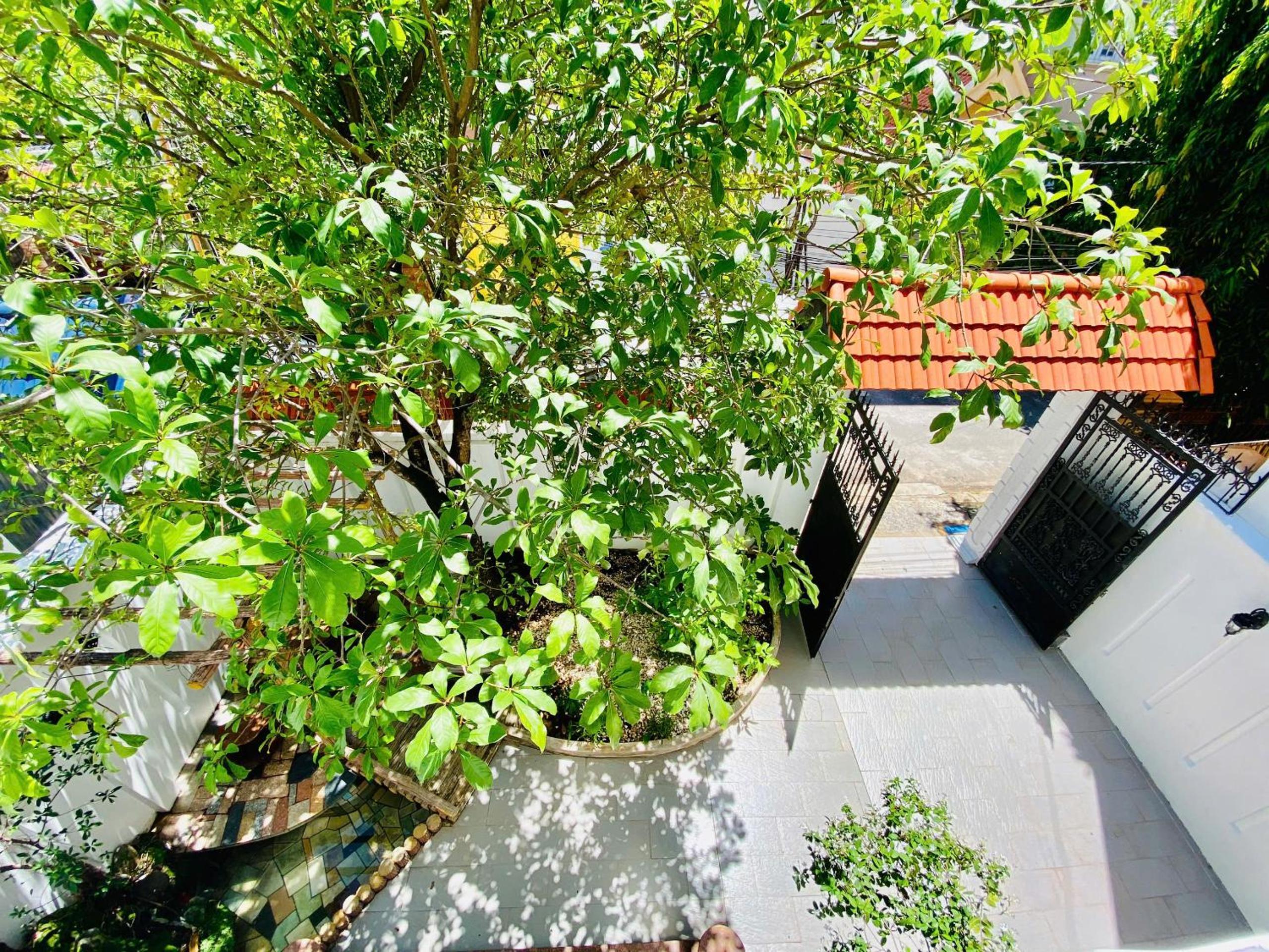 Biệt thự nghỉ dưỡng Anna - Trung tâm Bãi Sau Vũng Tàu view 4