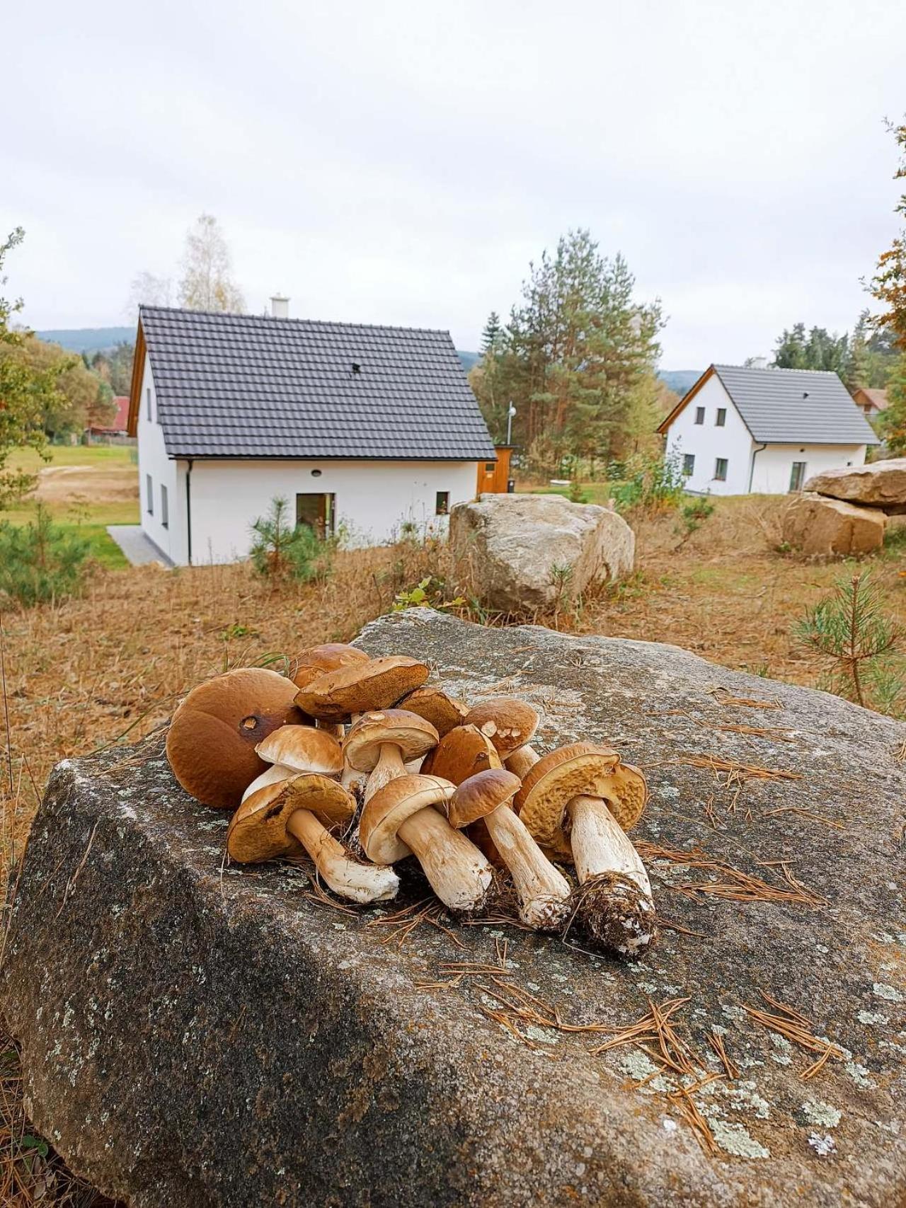 Klidná lokalita Na kraji lesa, celý dům s úschovnu kol