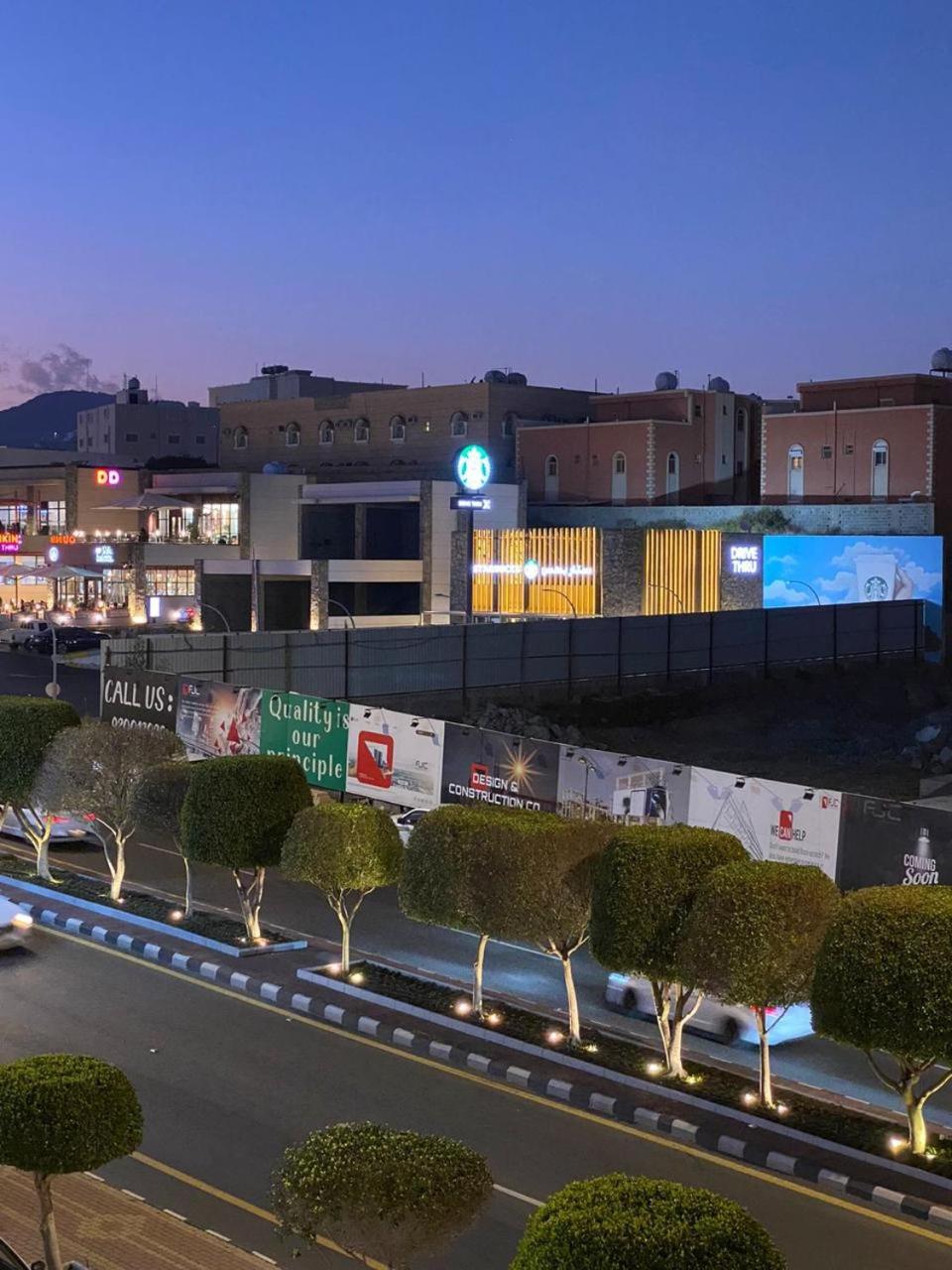 جولدن نيو توليب ابها view 2