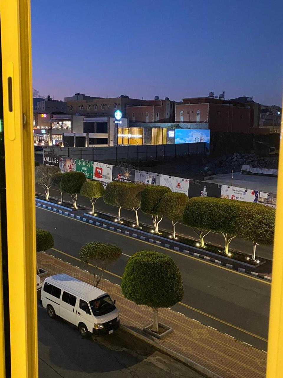 جولدن نيو توليب ابها view 3