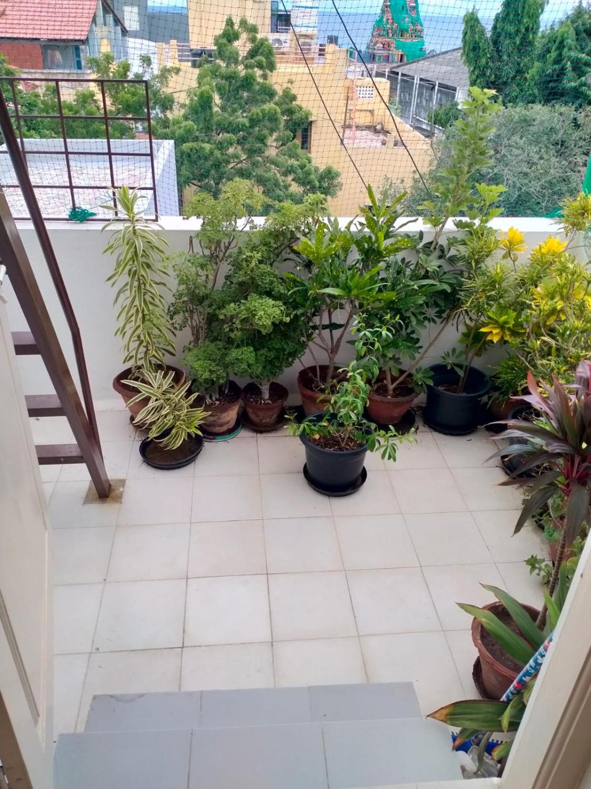 Happy Heart view 3