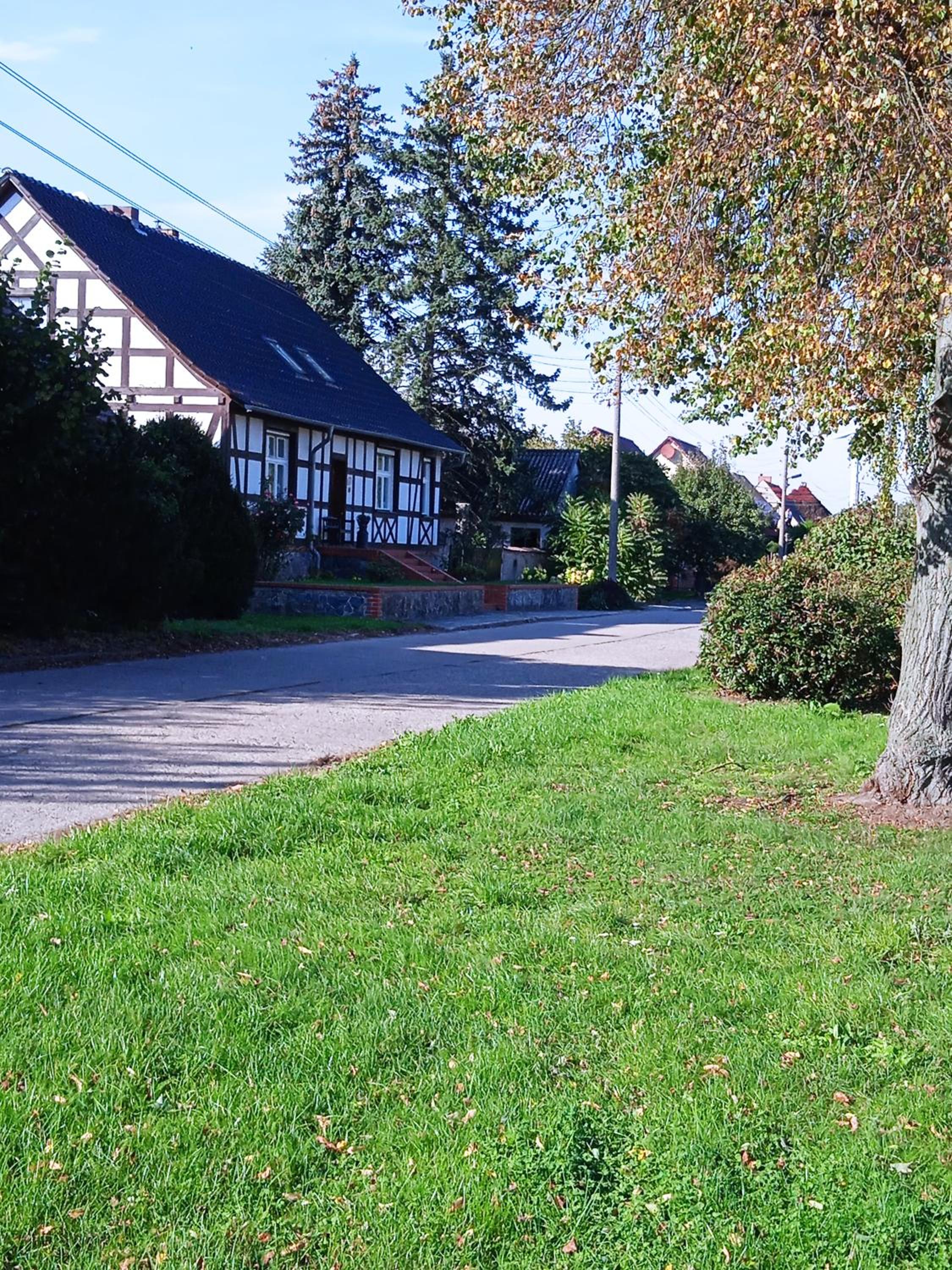 Pension zur alten Weide im Oderbruch