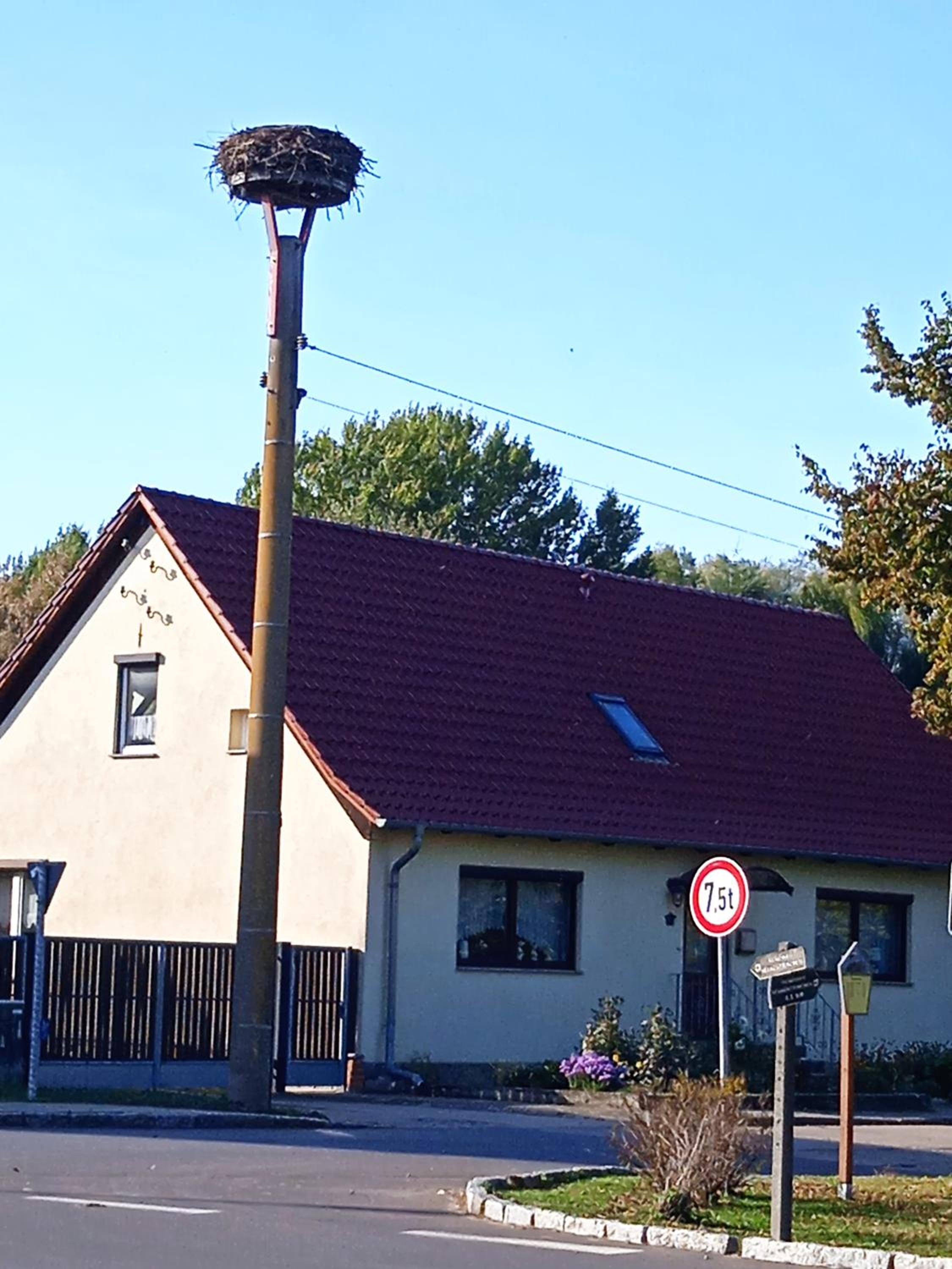 Pension zur alten Weide im Oderbruch
