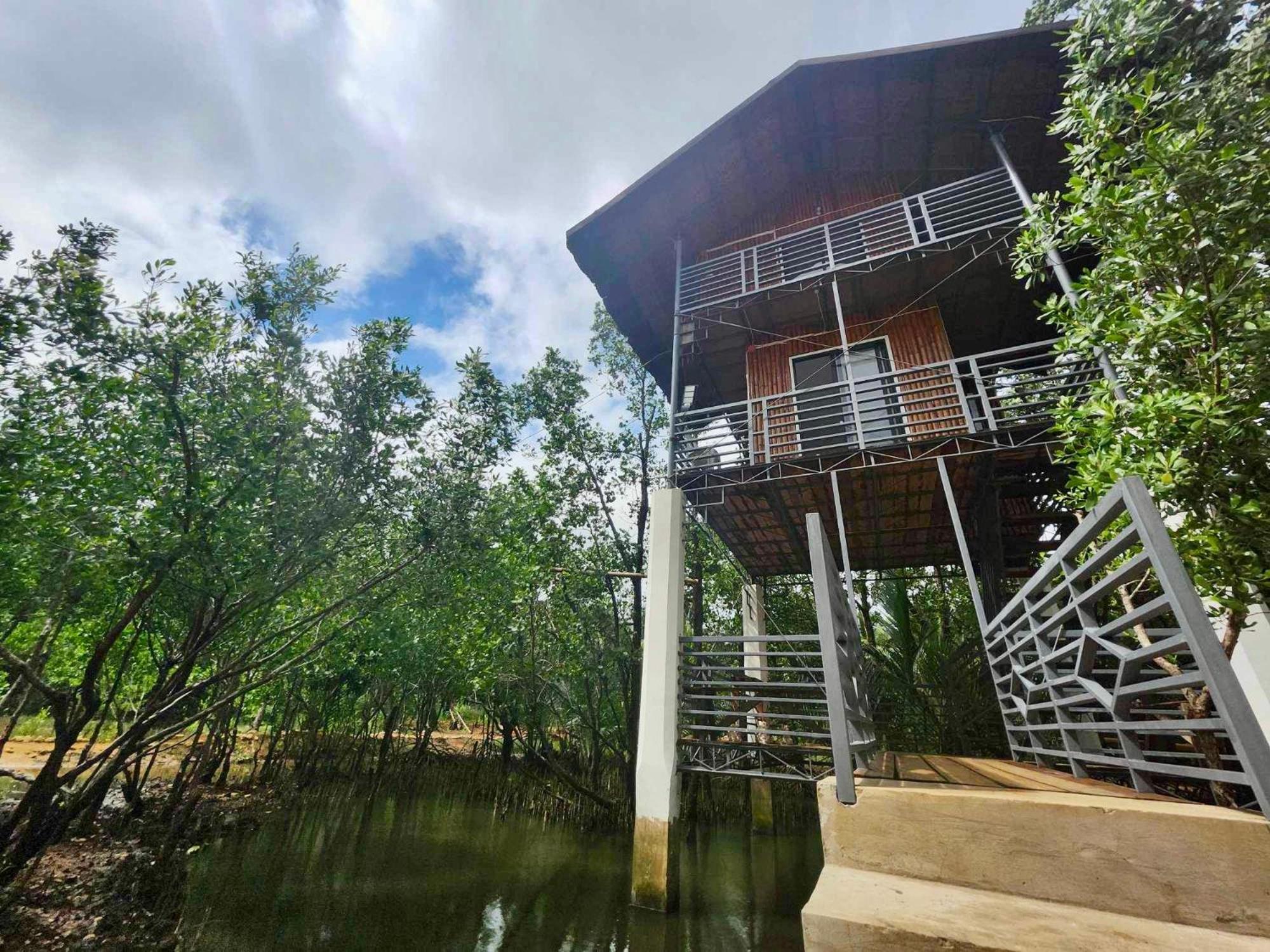 Tree House