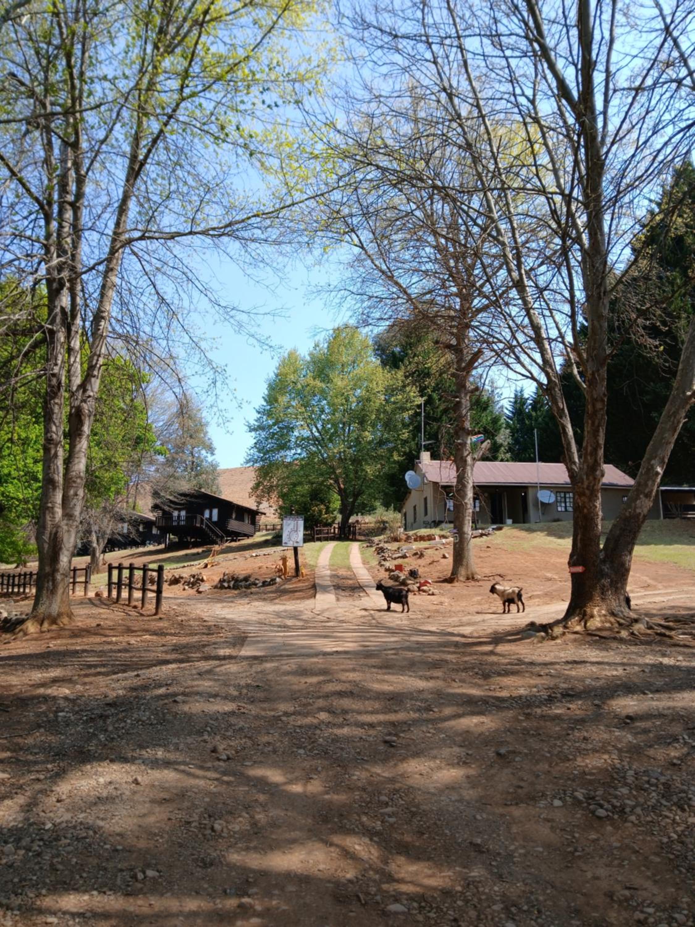 Photo 52