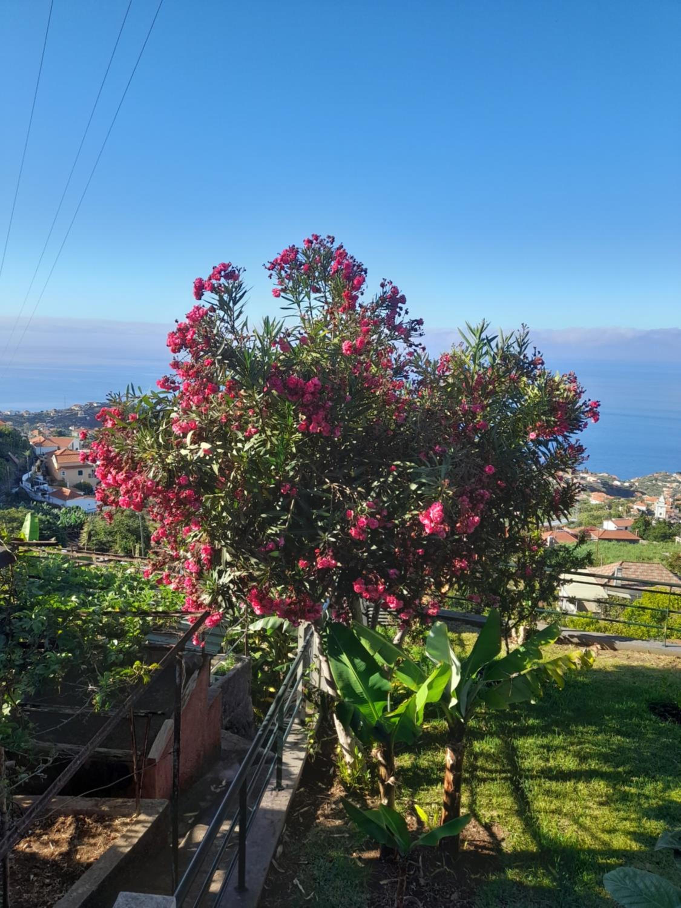 Casa-Albatros en Ponta do Sol — other