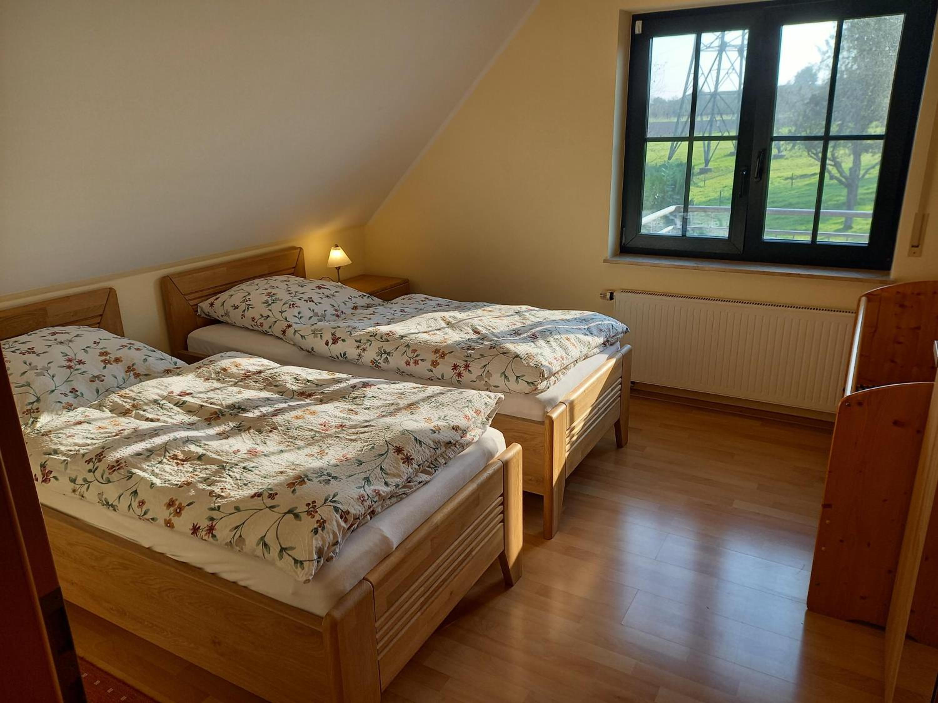 Bauernhof Sesterhenn view 5