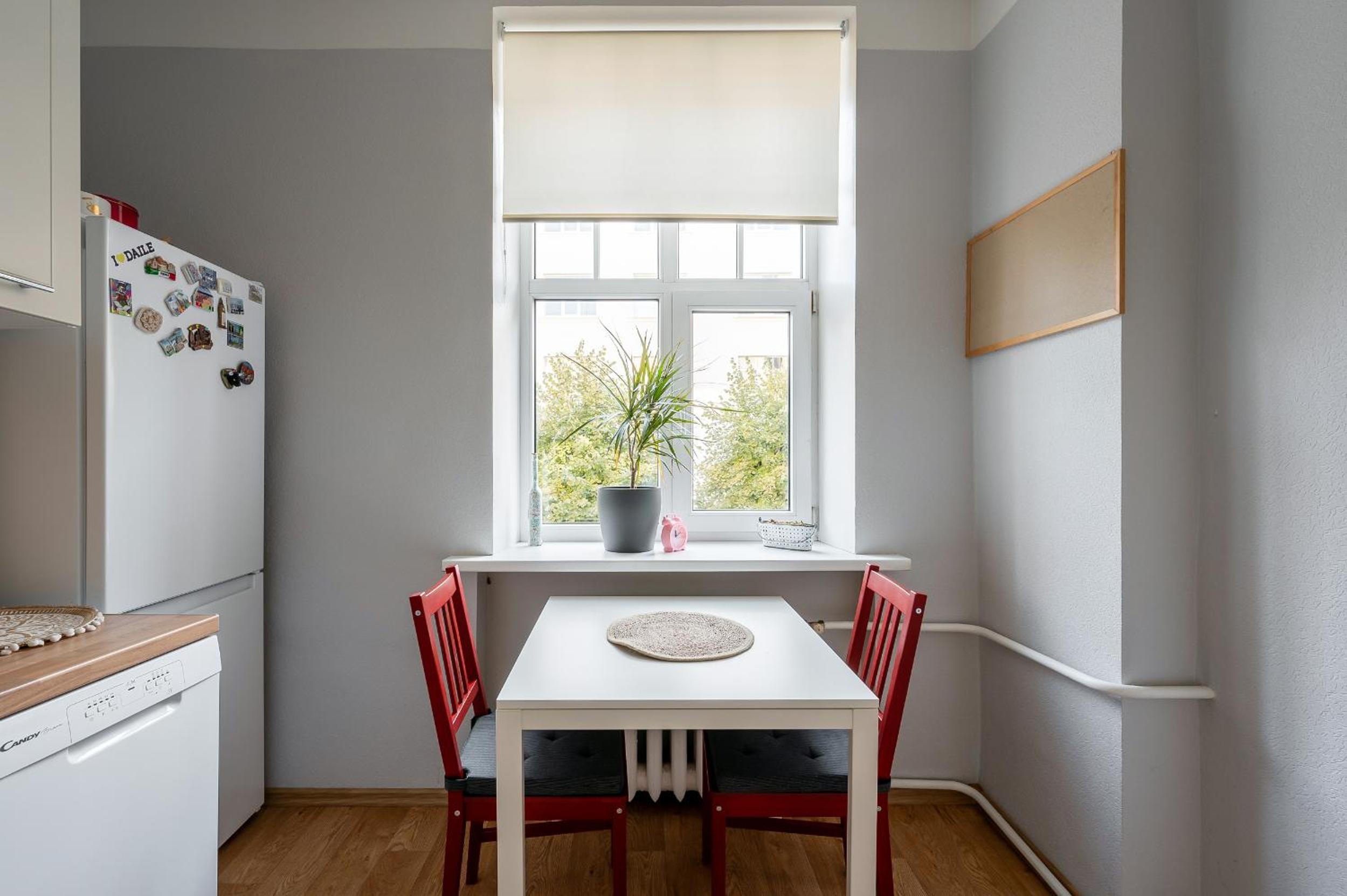 Strelnieku apartment