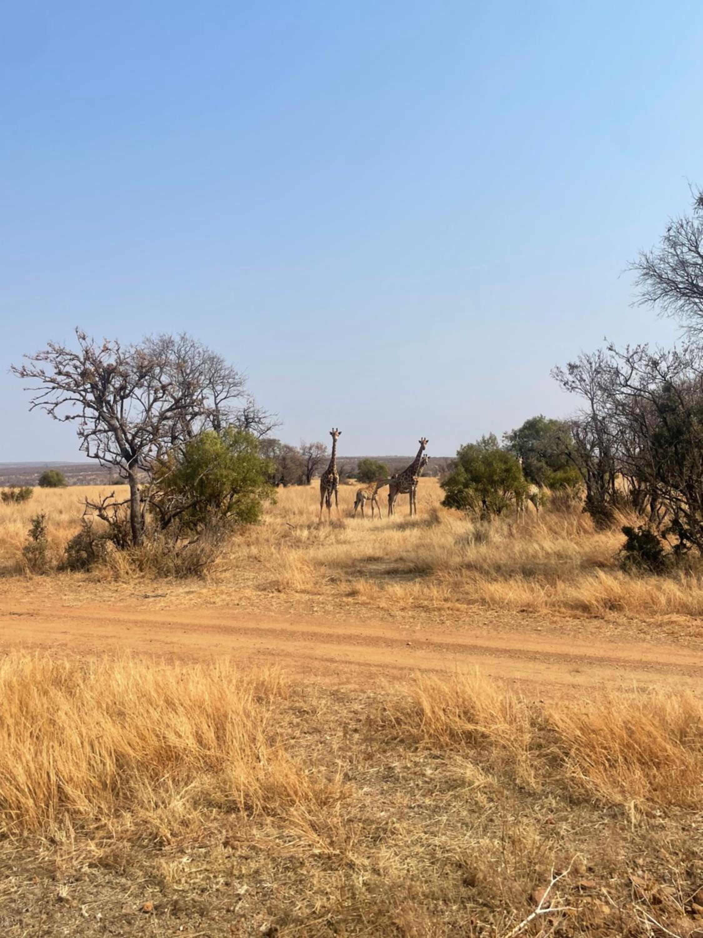 Butjani Lodge view 5