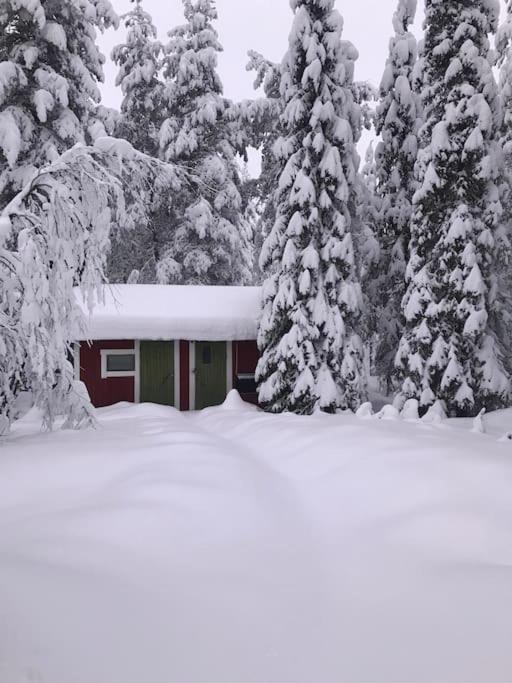 Tievaharju Cabin