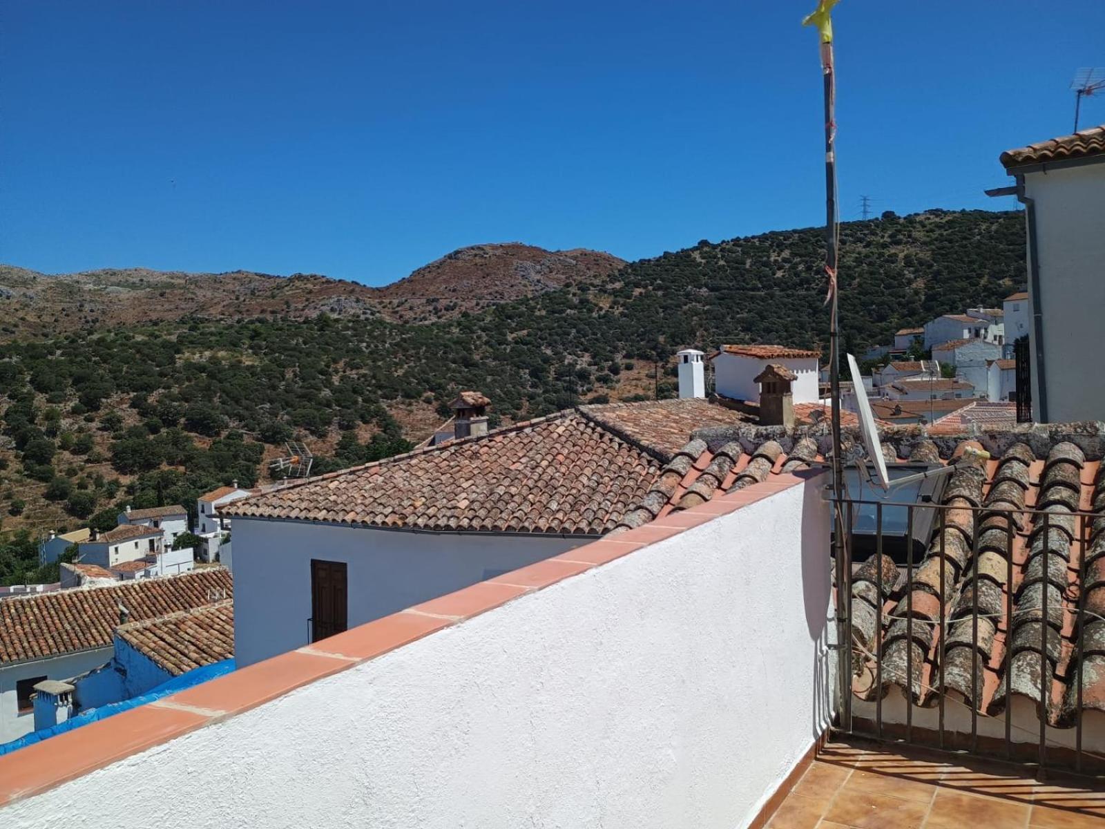 roof