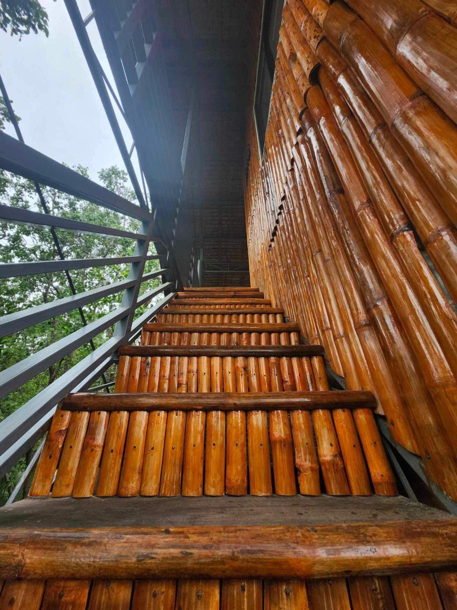 Tree House