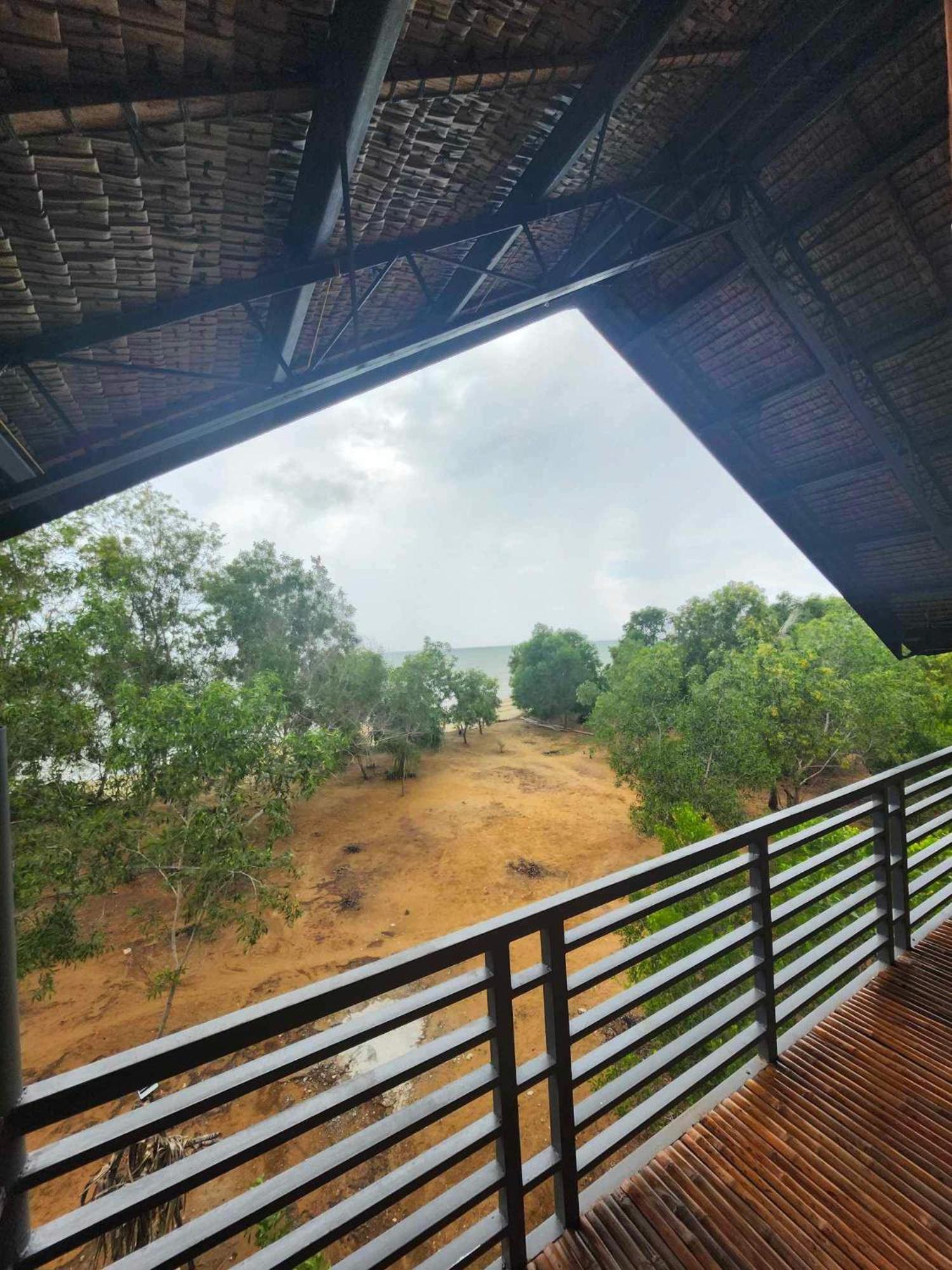 Tree House