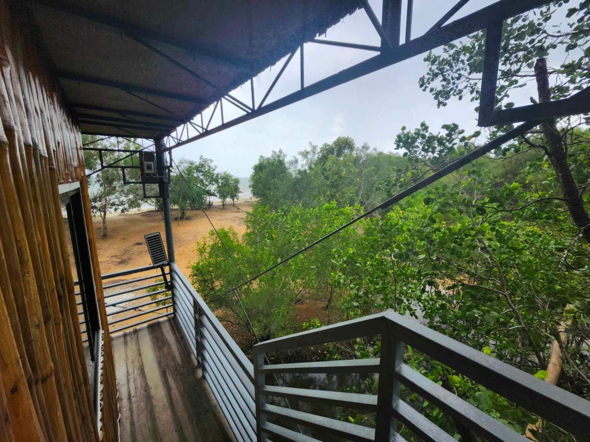 Tree House