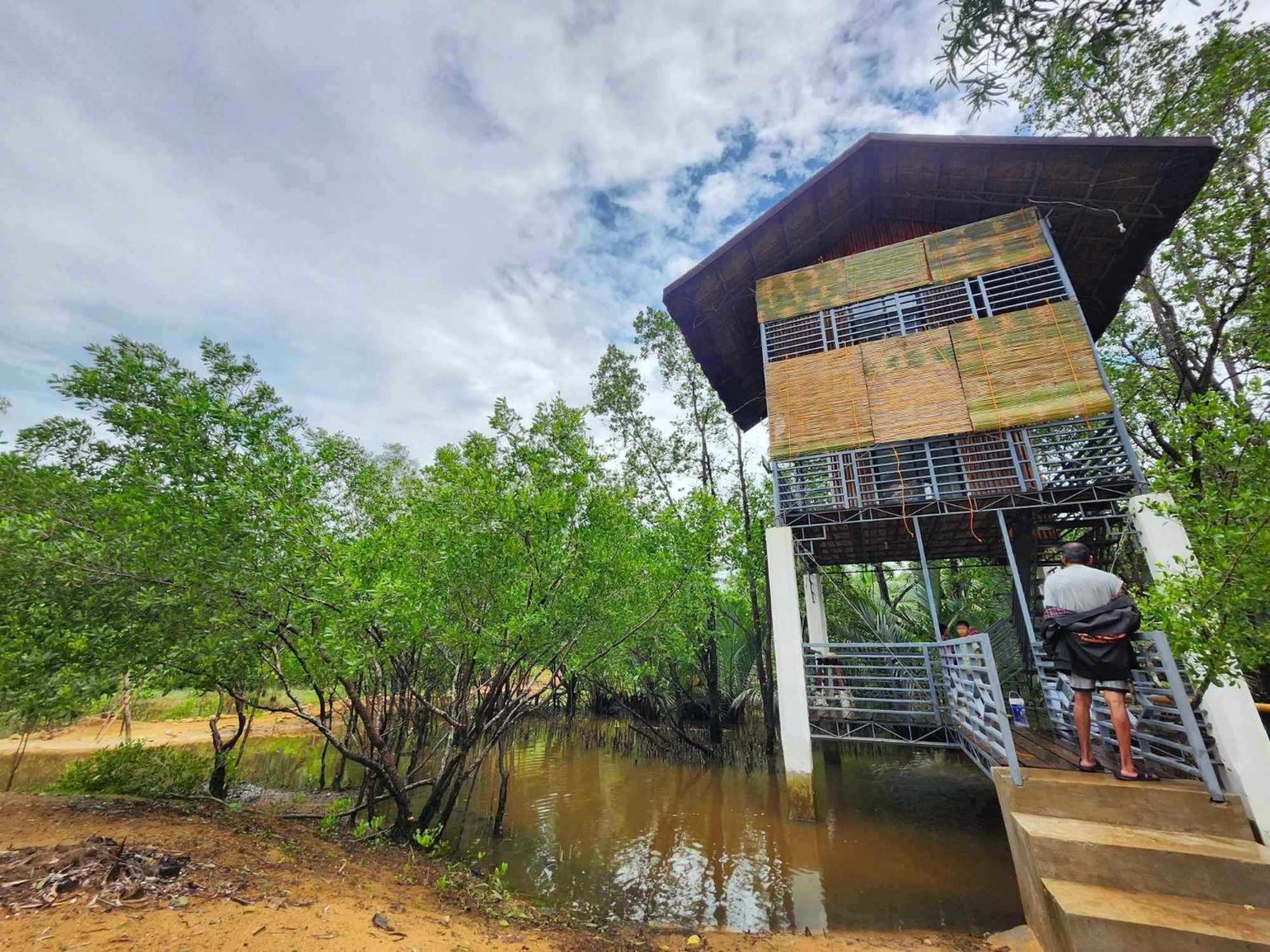 Tree House