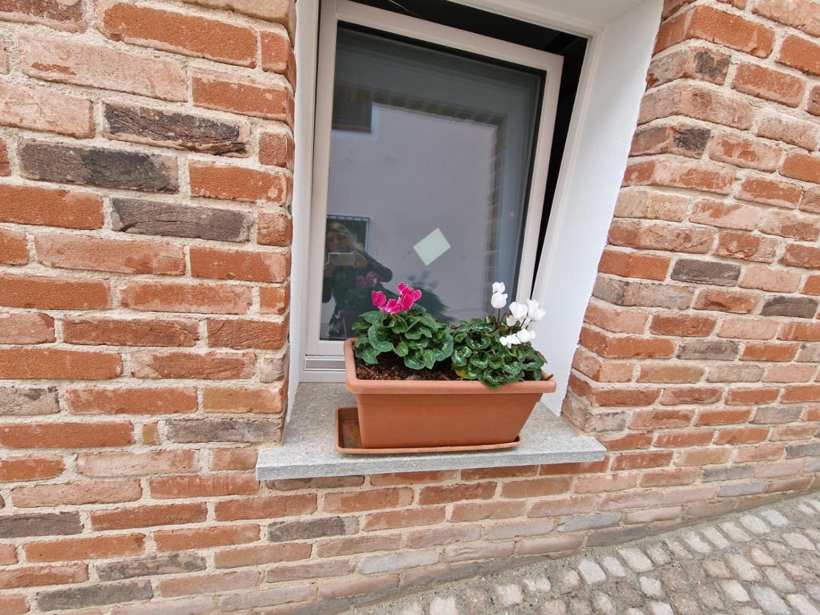 SOGNANDO NEL ROERO - Guest House view 2