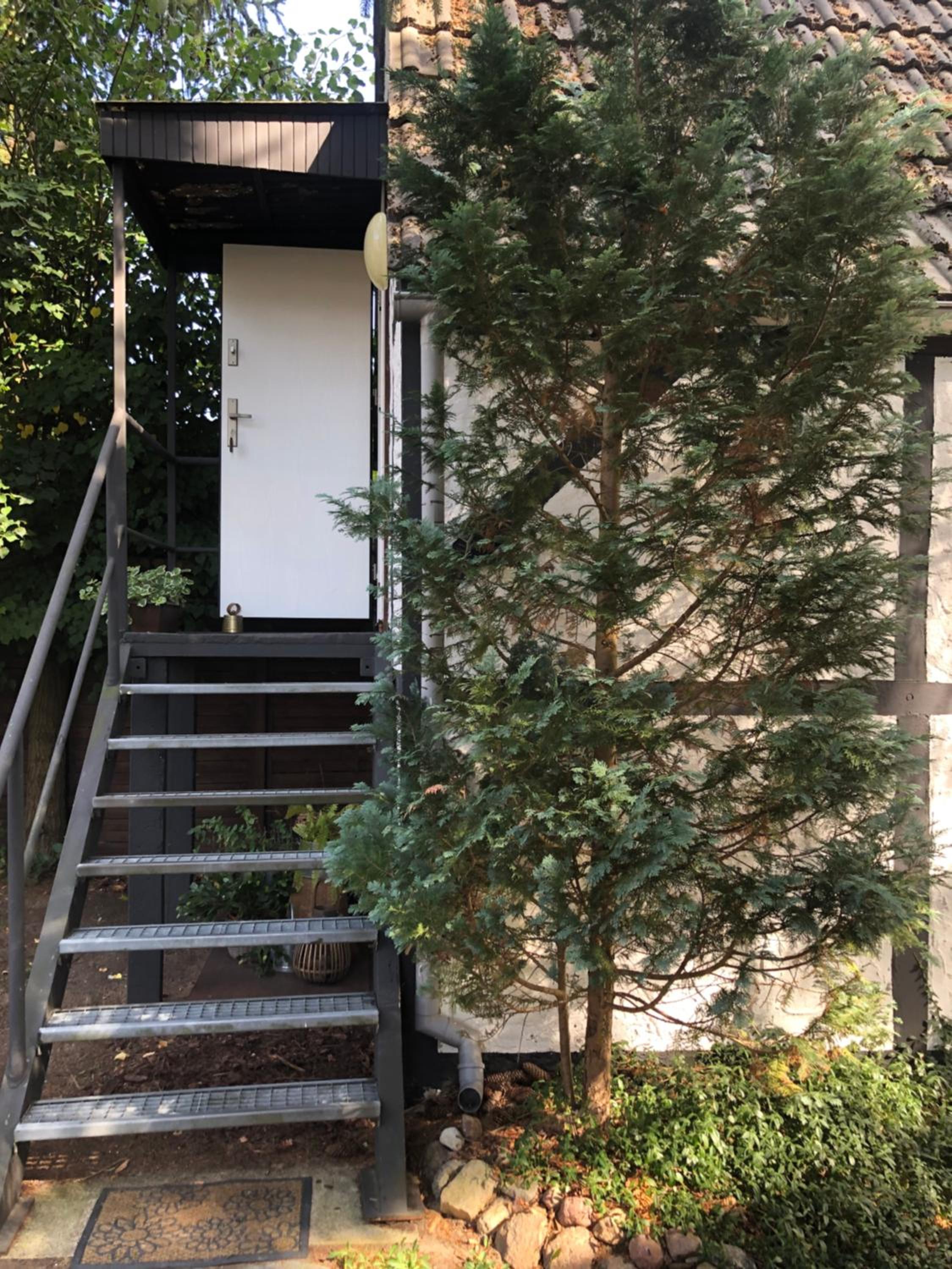 Ferienhaus Plöwen MV