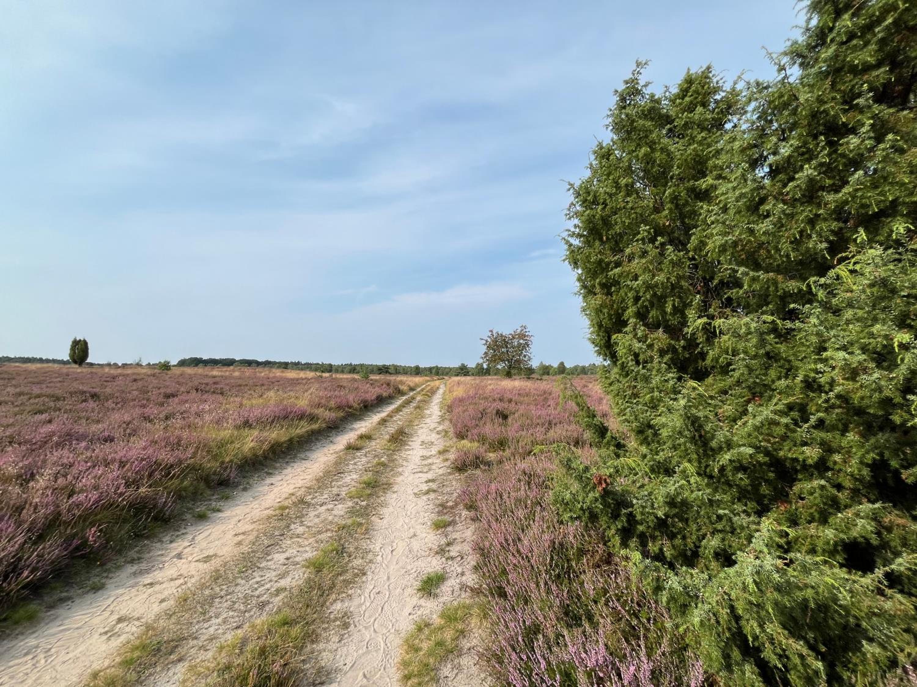 BigOak Wintermoor Schneverdingen
