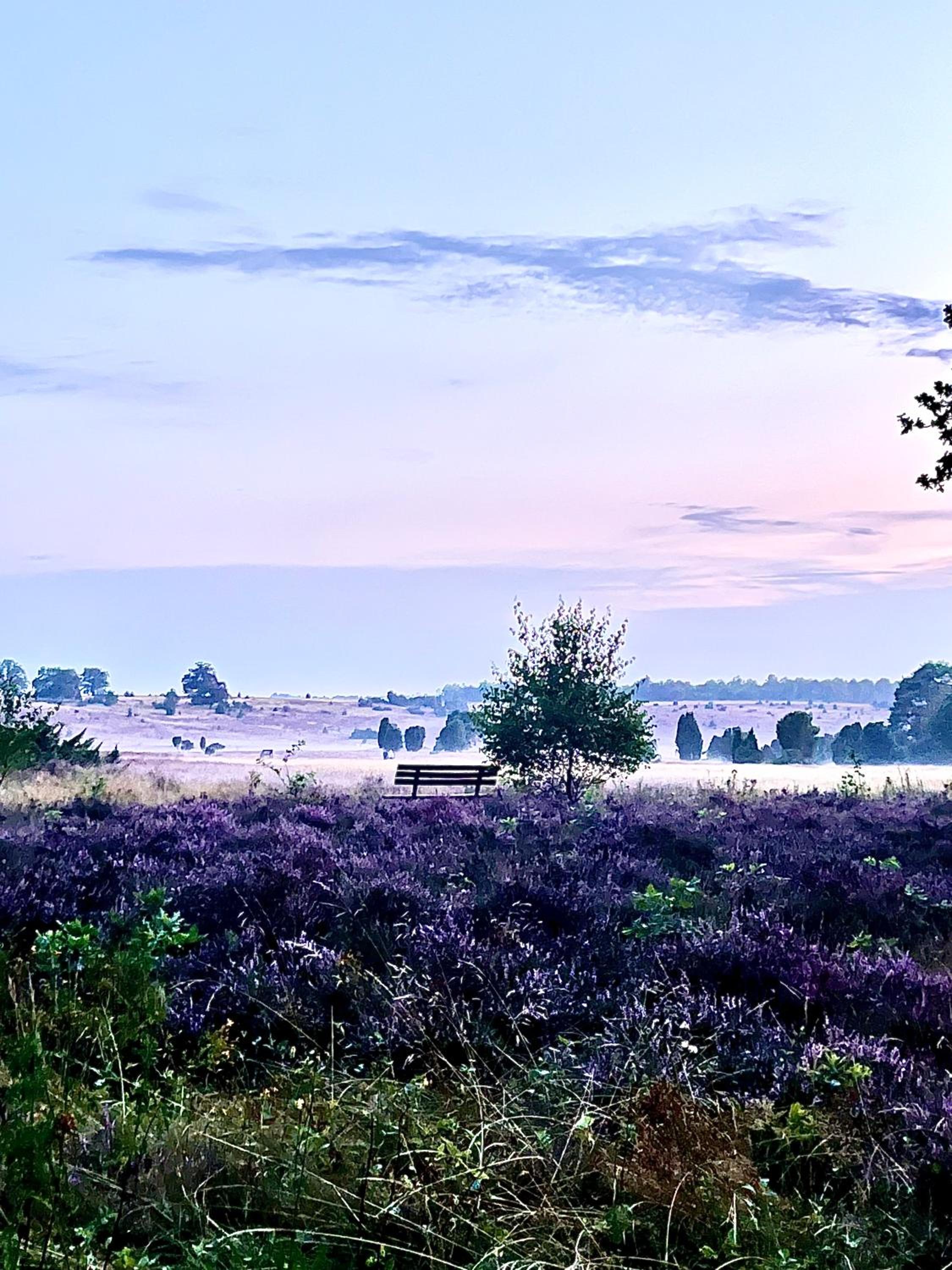 BigOak Wintermoor Schneverdingen