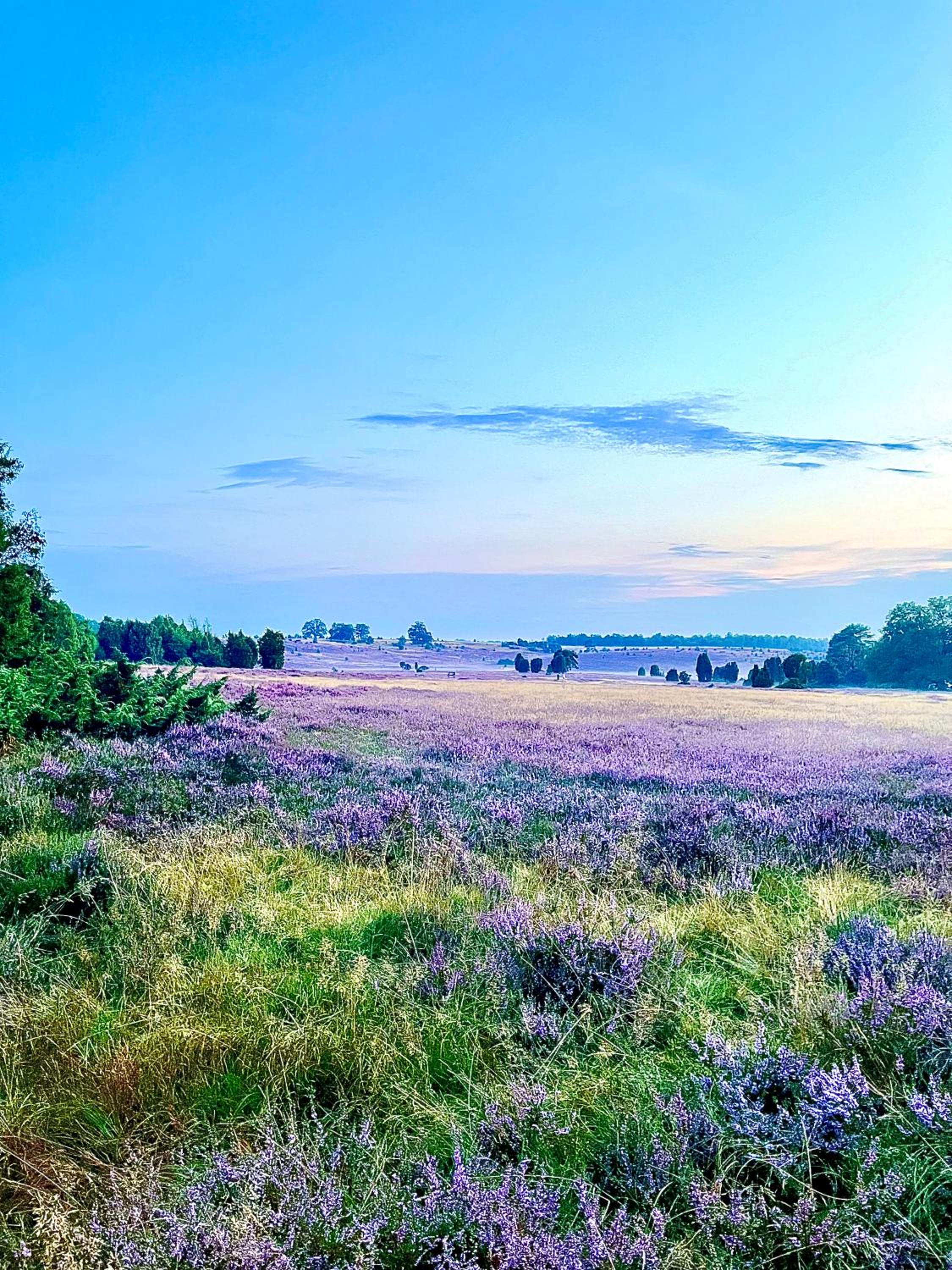 BigOak Wintermoor Schneverdingen