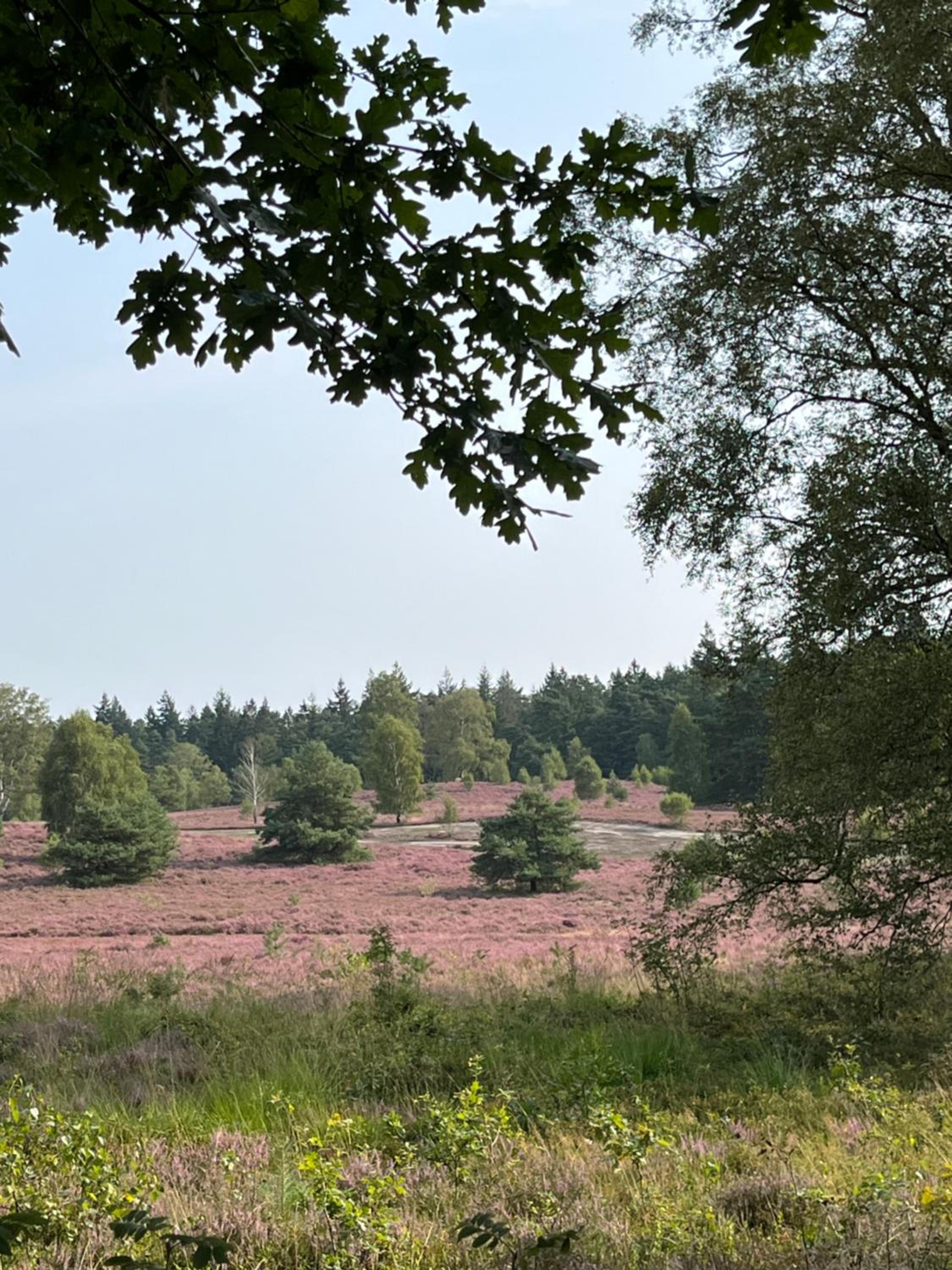 BigOak Wintermoor Schneverdingen