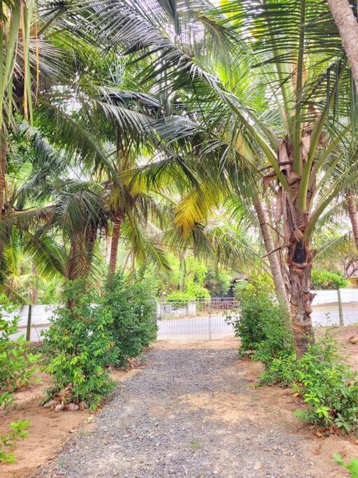 Serene Lush Holiday Home view 5